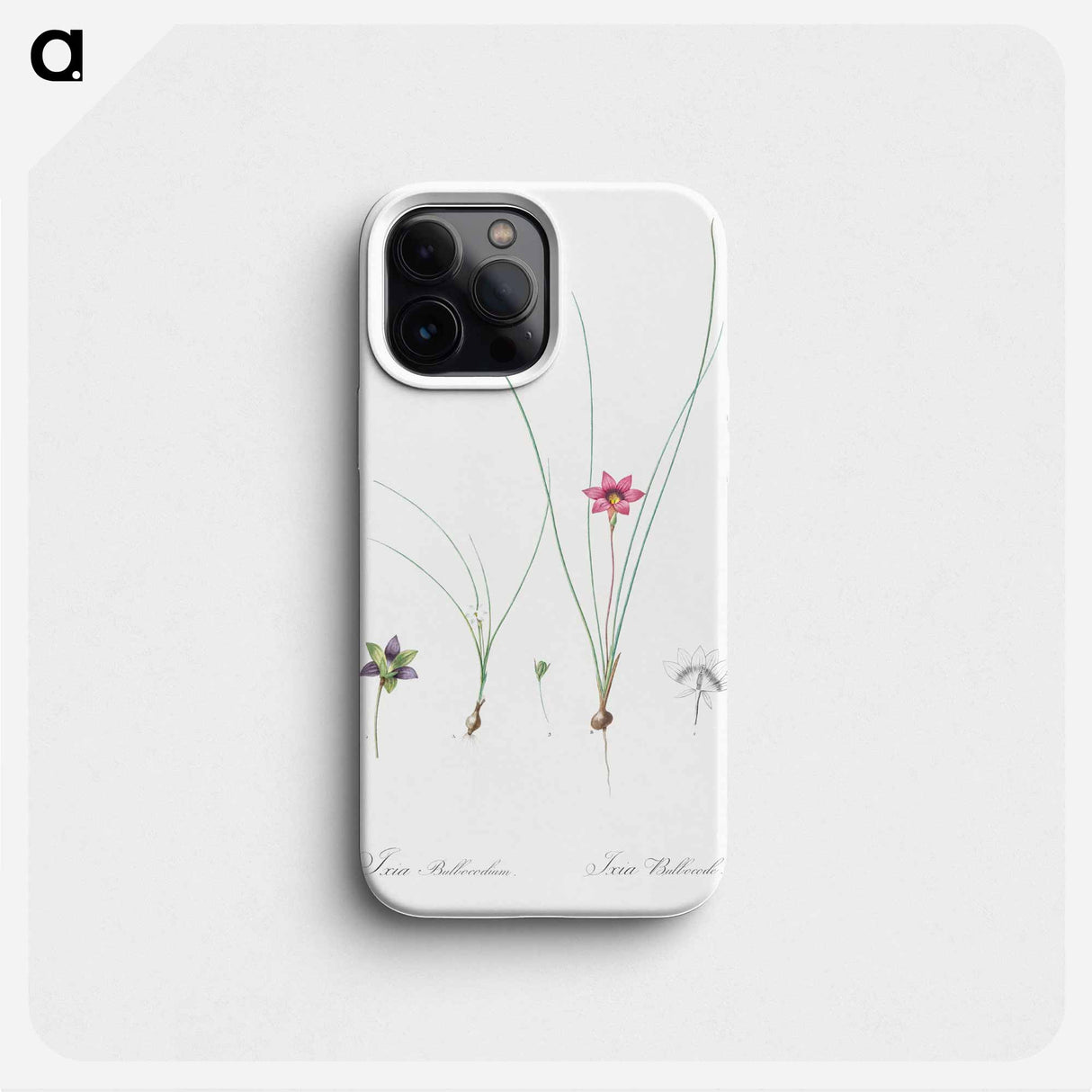 Crocus-leaved romulea - Pierre Joseph Redouté Phone Case.