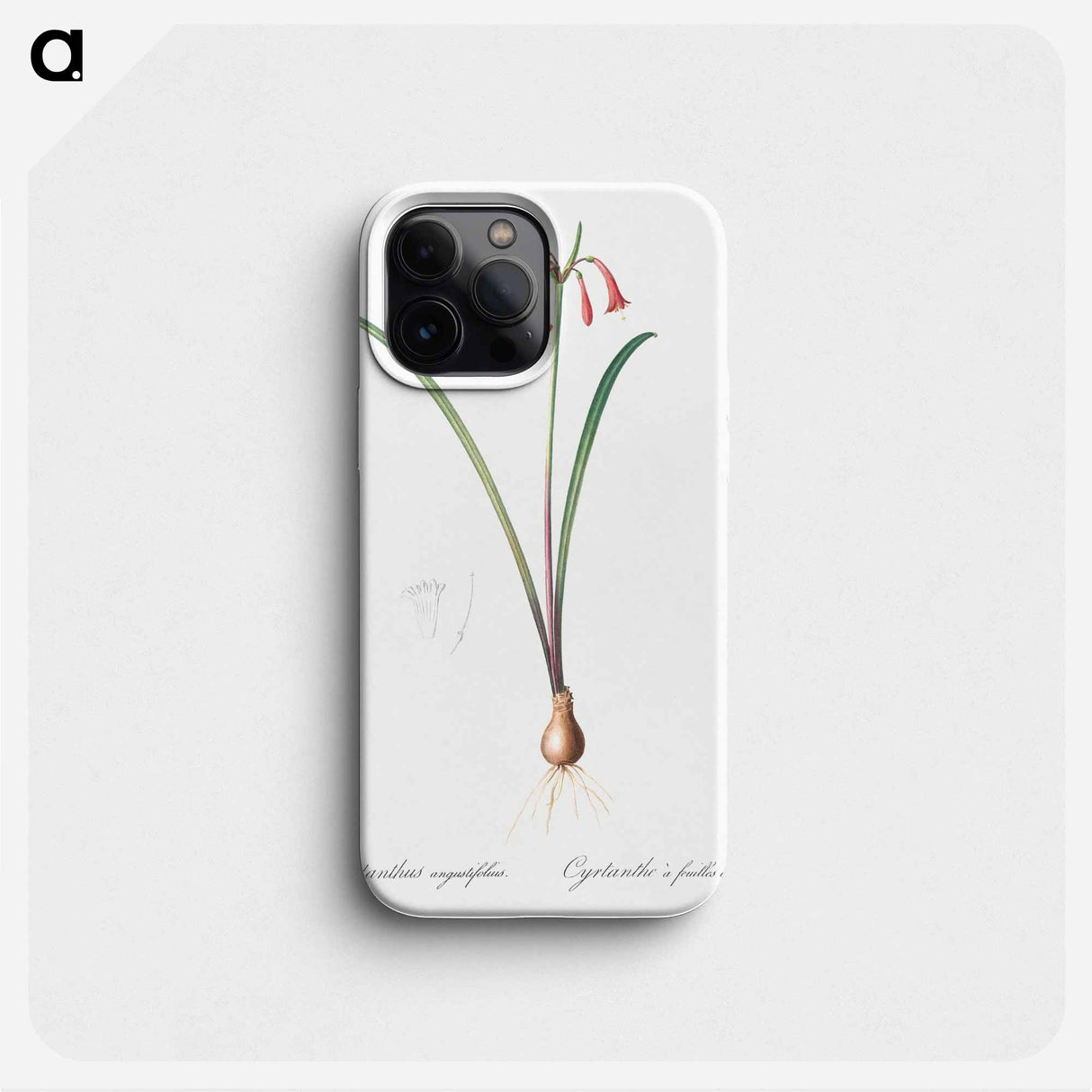 Brandlelie illustration - Pierre Joseph Redouté Phone Case.