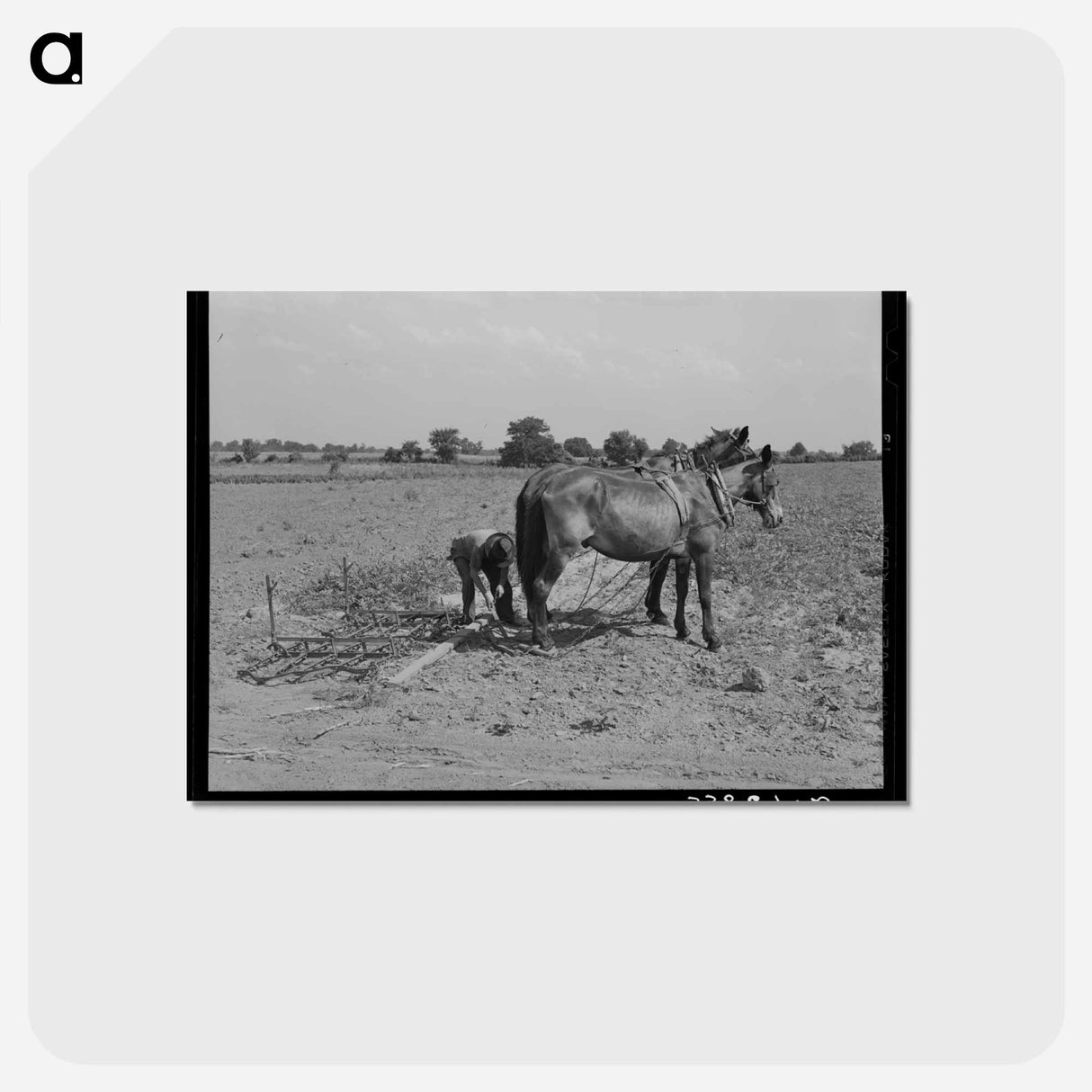 アートポストカード-Mules and Harrow
- ラッセル リー Postcard.
