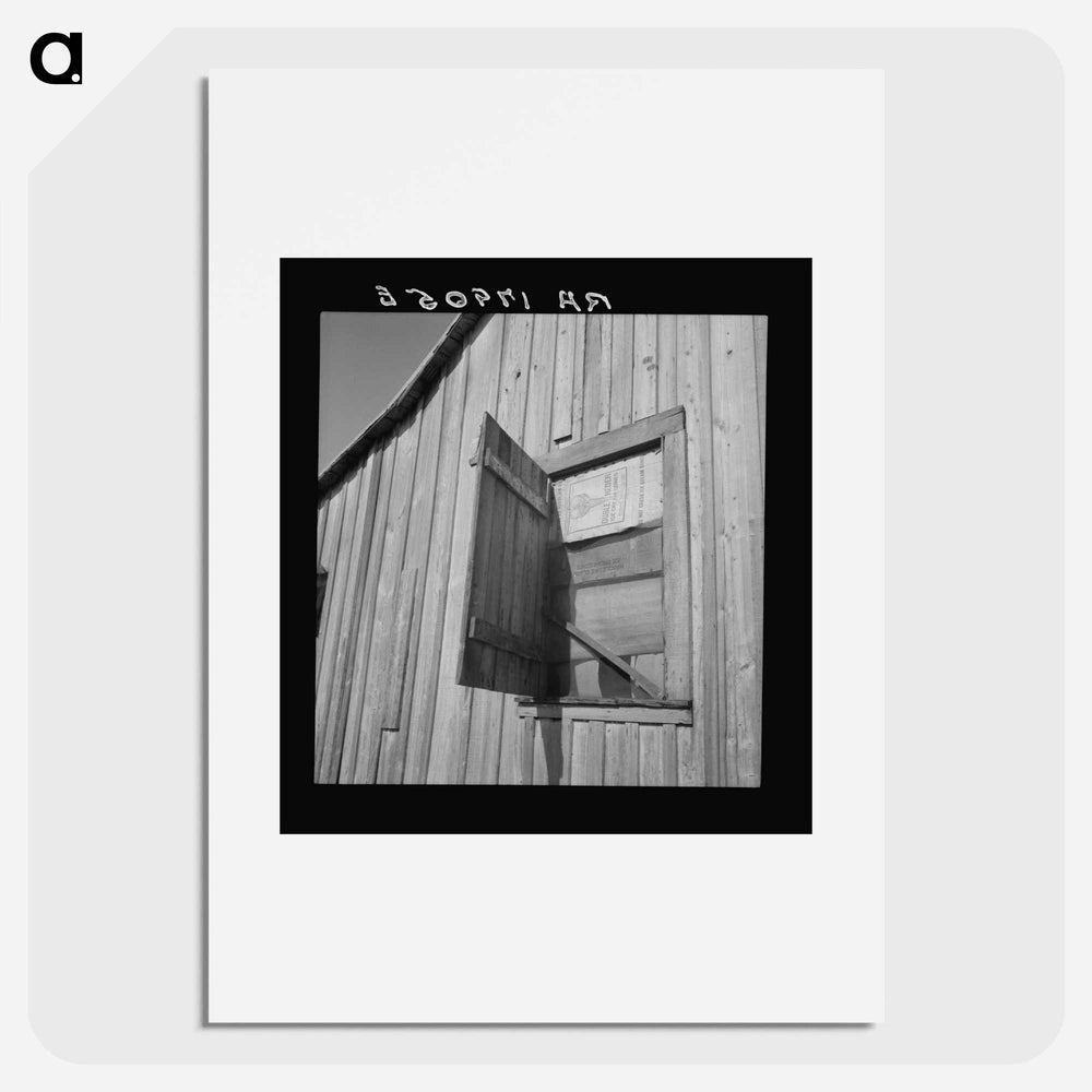 Untitled photo - ドロテア ラング Poster.