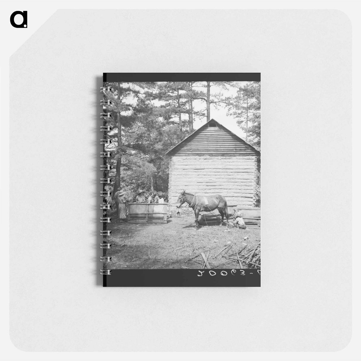 Untitled photo, possibly related to: Young son of tenant farmer gathering sticks for workers to string tobacco on. Granville County, North Carolina - ドロテア ラング Memo.
