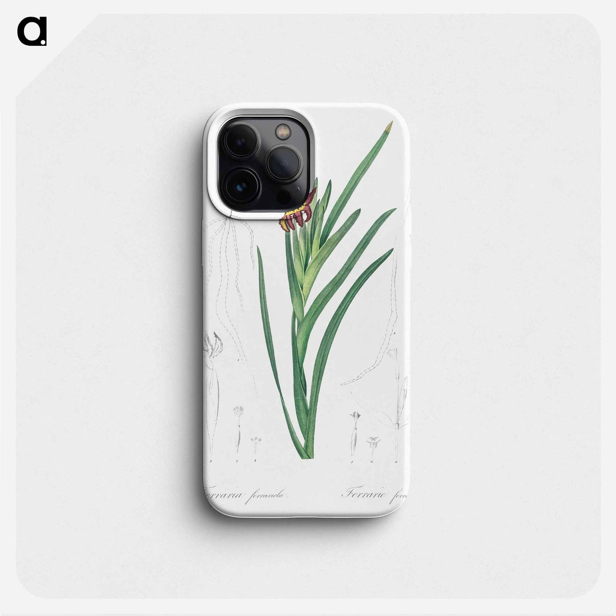 Spider iris illustration - Pierre Joseph Redouté Phone Case.