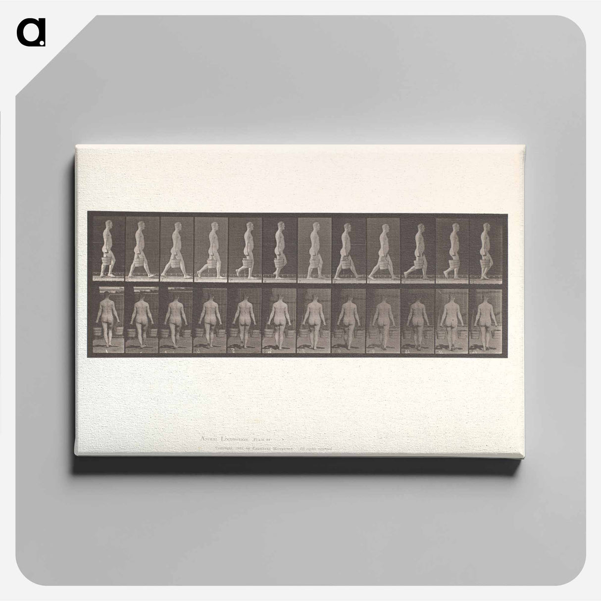 アートパネル-Naked Man Walking
- エドワード マイブリッジ Canvas.