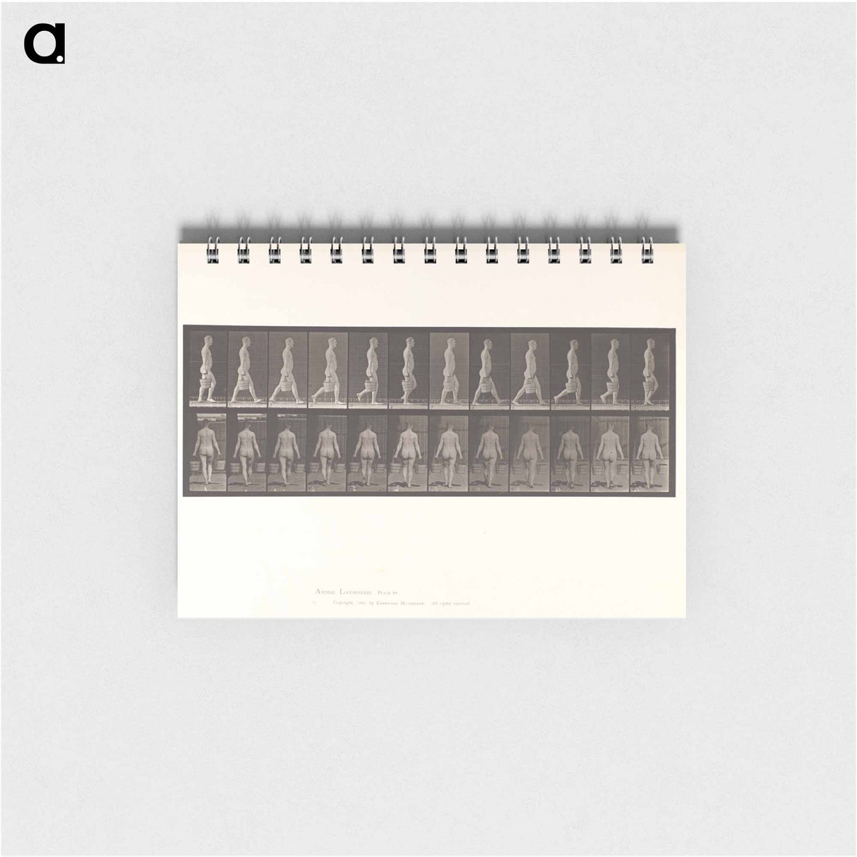 アートメモ帳-Naked Man Walking
- エドワード マイブリッジ Memo.