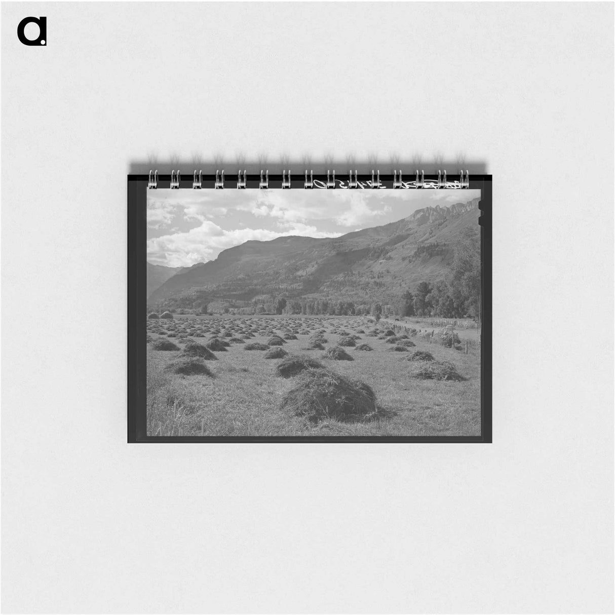 アートメモ帳-Douglas County Fir Trees
- ラッセル リー Memo.