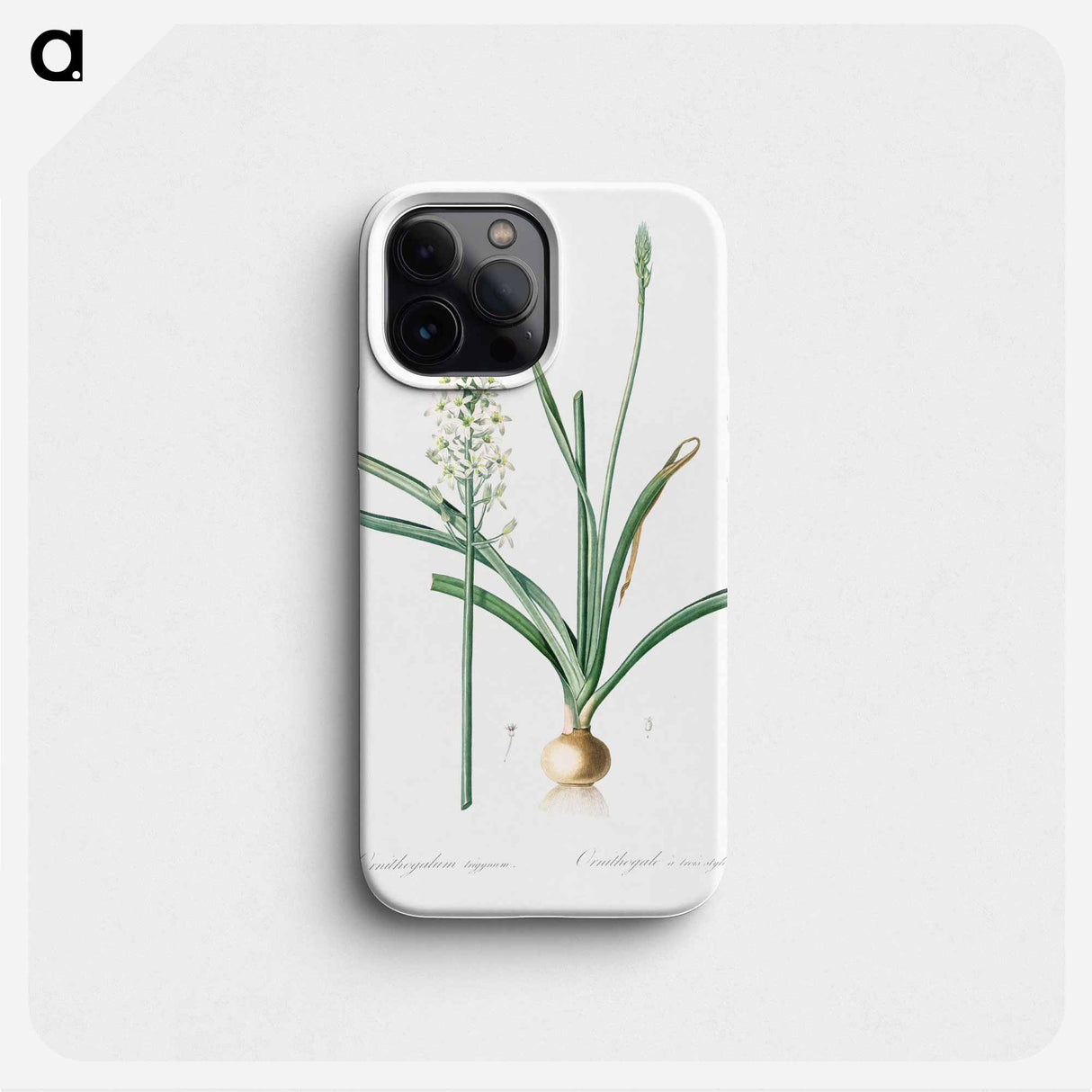 Narbonne star-of-Bethlehem - Pierre Joseph Redouté Phone Case.