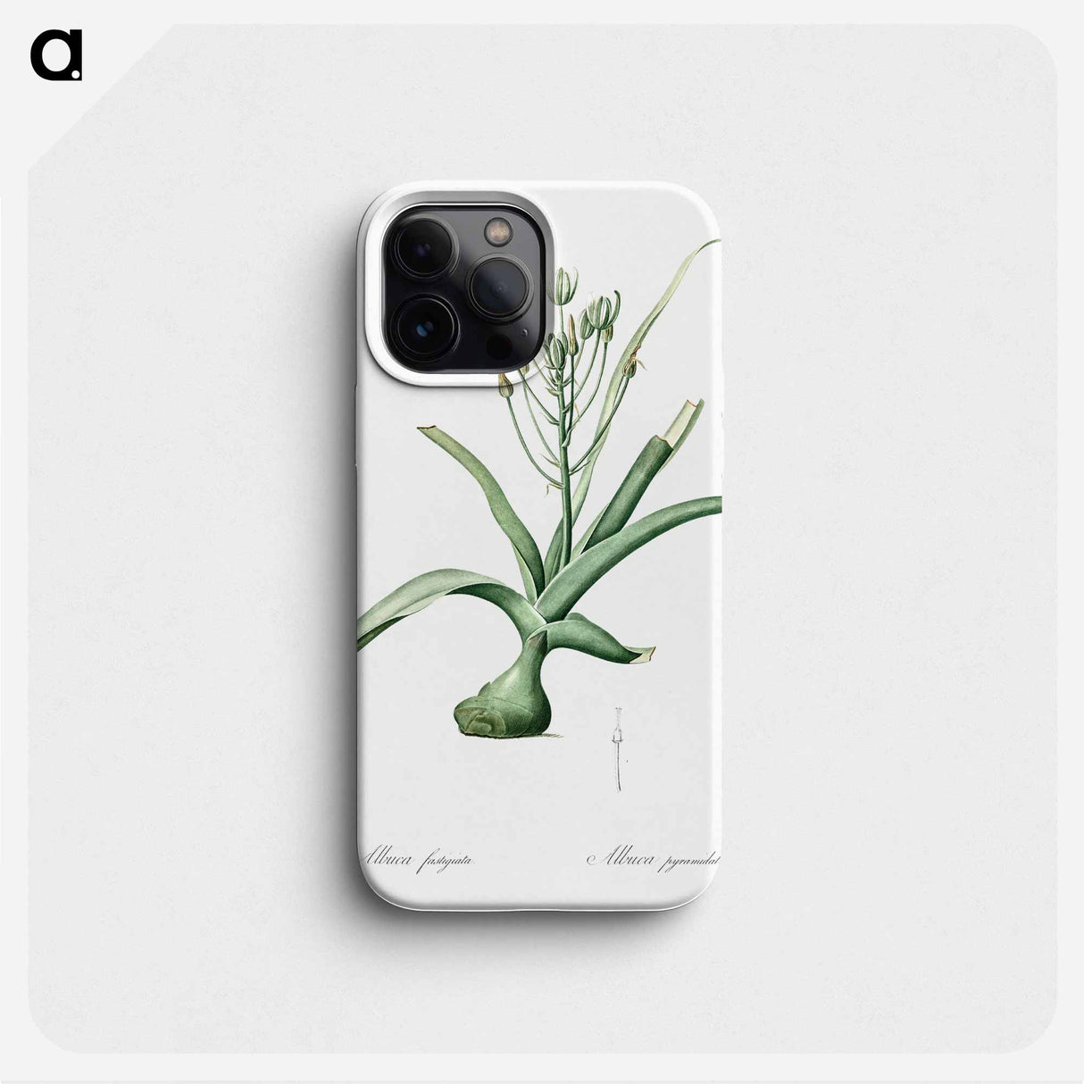 Slime lily illustration - Pierre Joseph Redouté Phone Case.