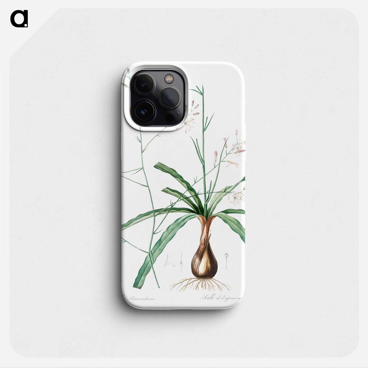 Wavy-leafed soap plant illustration - Pierre Joseph Redouté Phone Case.