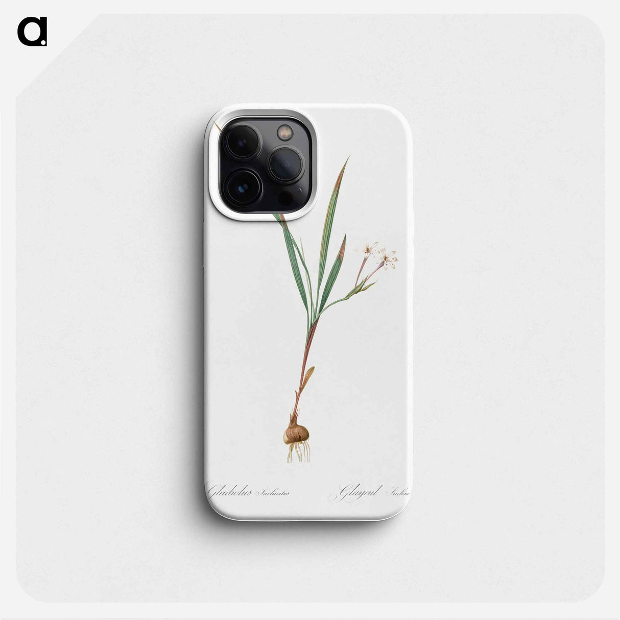 Gladiolus inclinatus illustration from Les liliacées - Pierre-Joseph Redouté Phone Case.