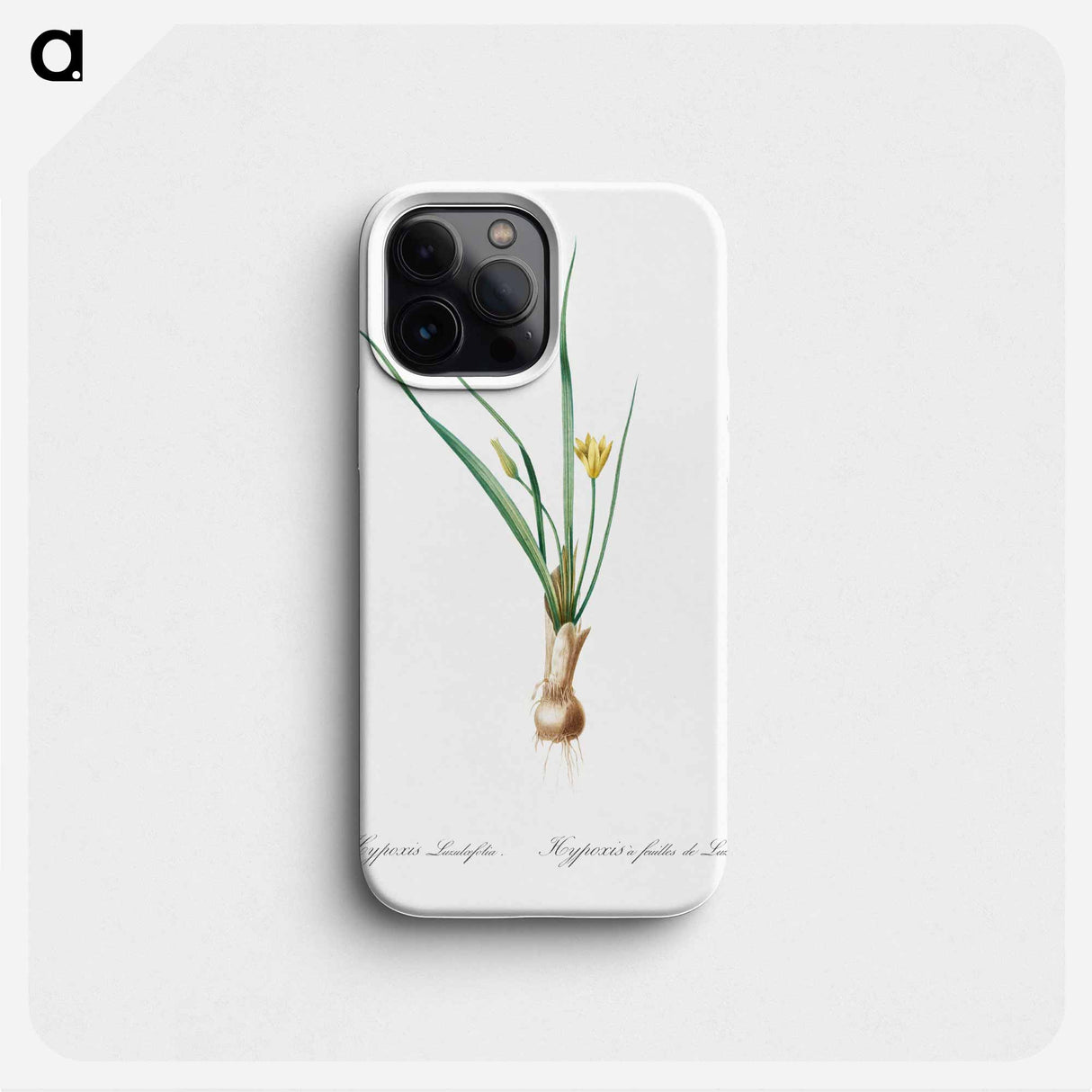 Weevil-wort illustration - Pierre Joseph Redouté Phone Case.