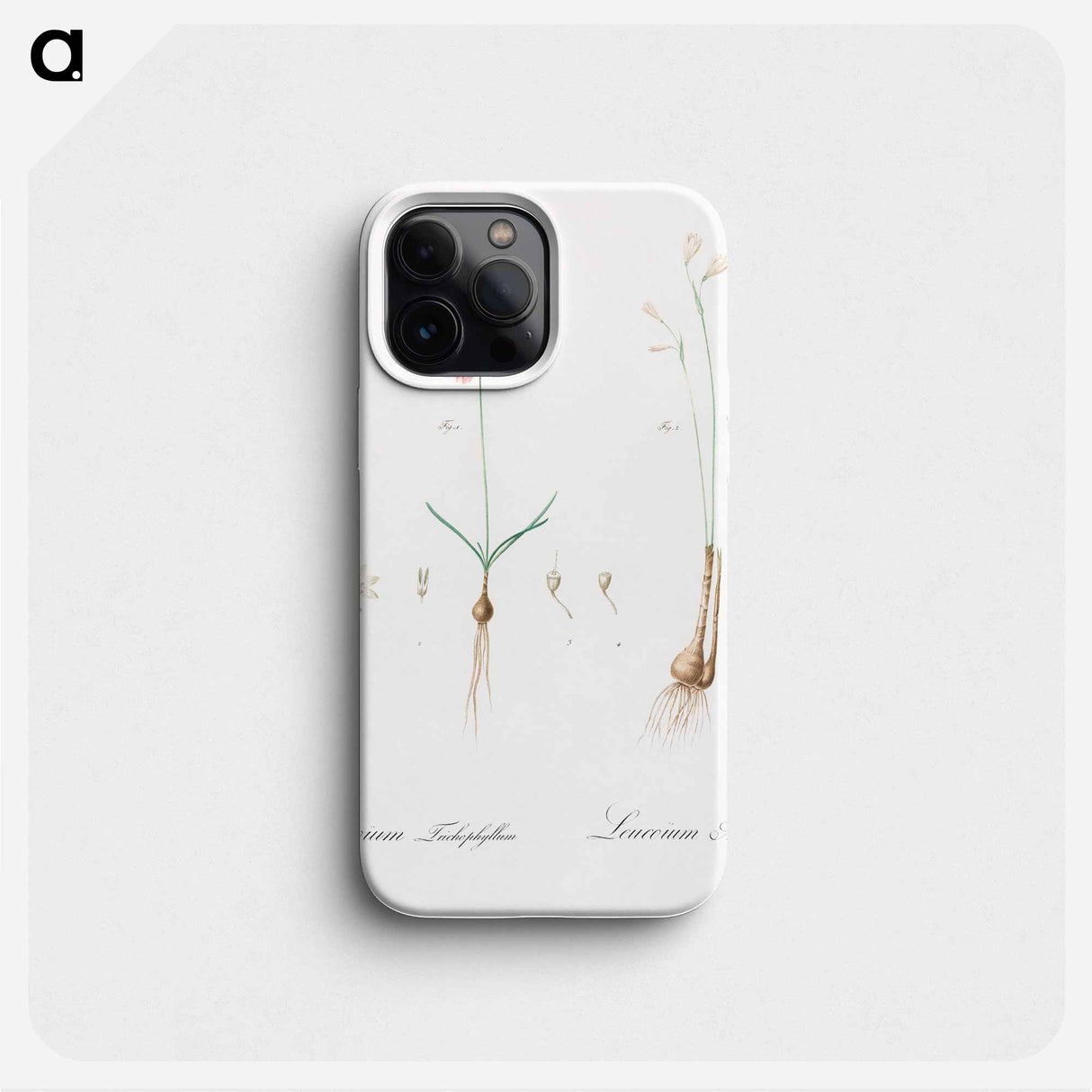 Leucoium trichophyllum illustration - Pierre Joseph Redouté Phone Case.