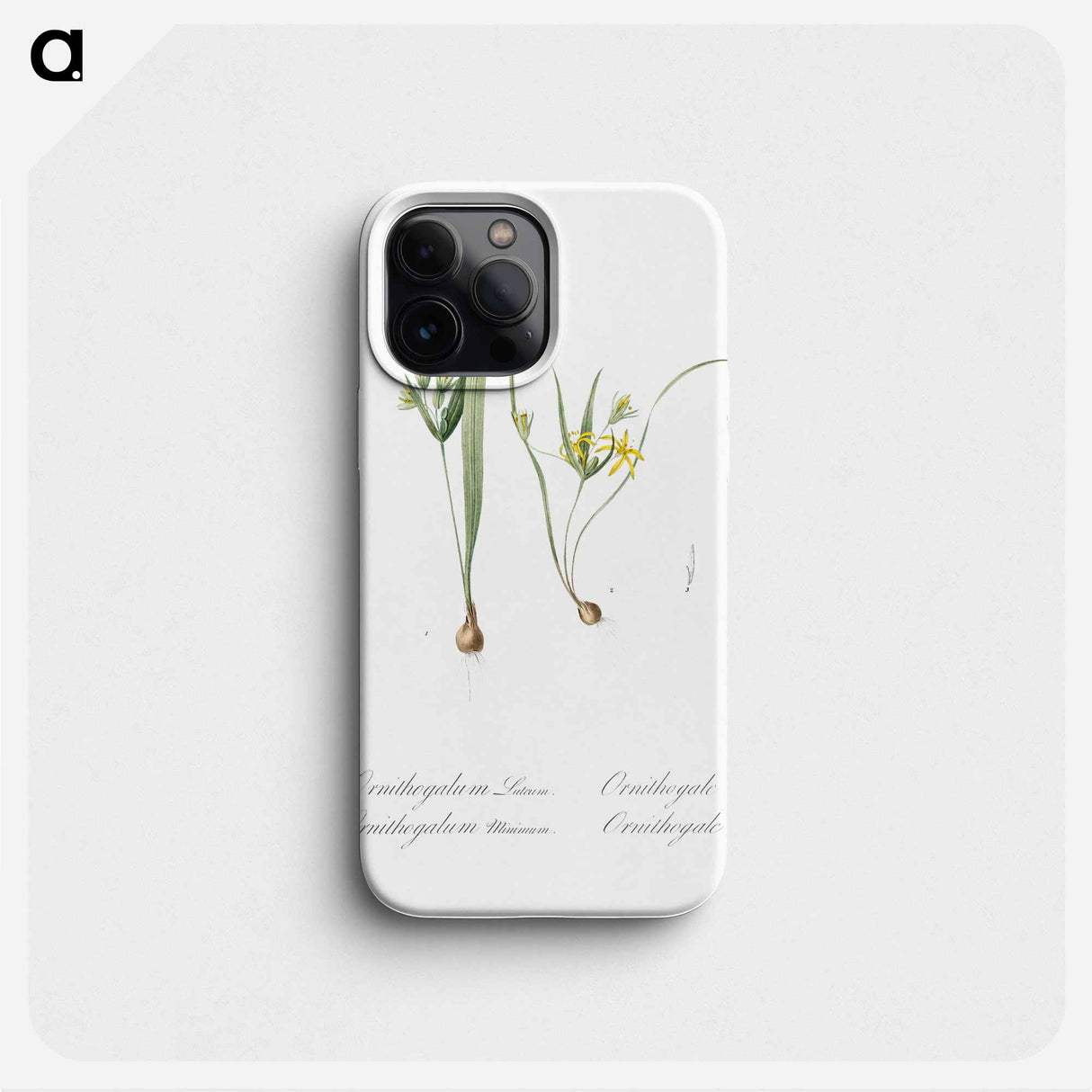 Yellow star-of-bethlehem - Pierre Joseph Redouté Phone Case.
