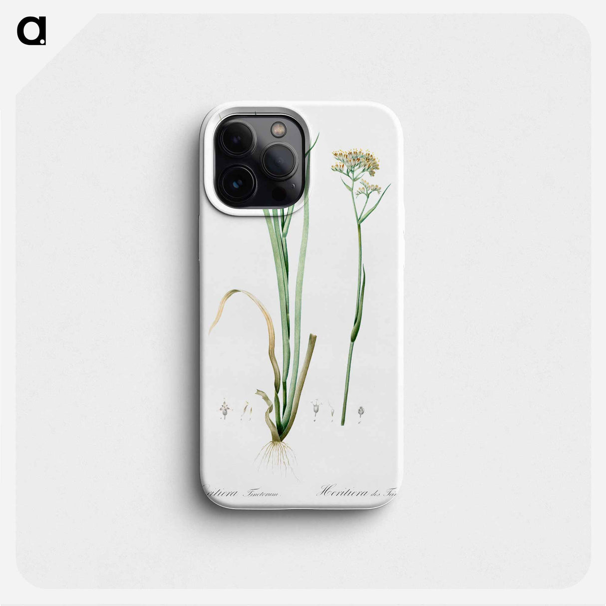 Carolina redroot illustration - Pierre Joseph Redouté Phone Case.