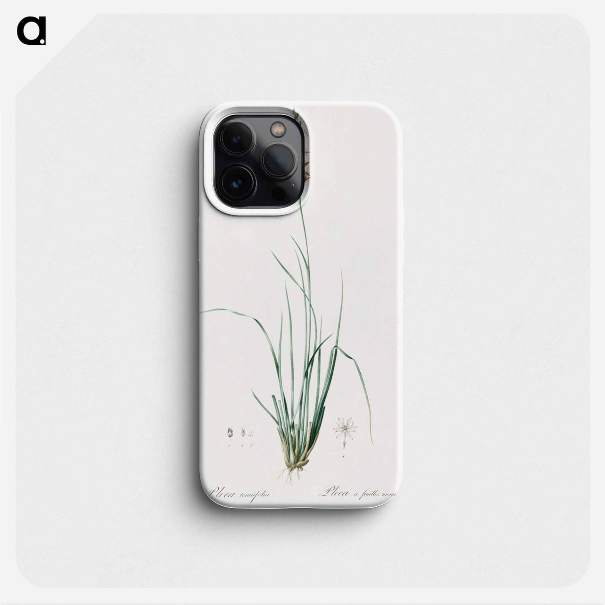 Rush featherling illustration - Pierre Joseph Redouté Phone Case.
