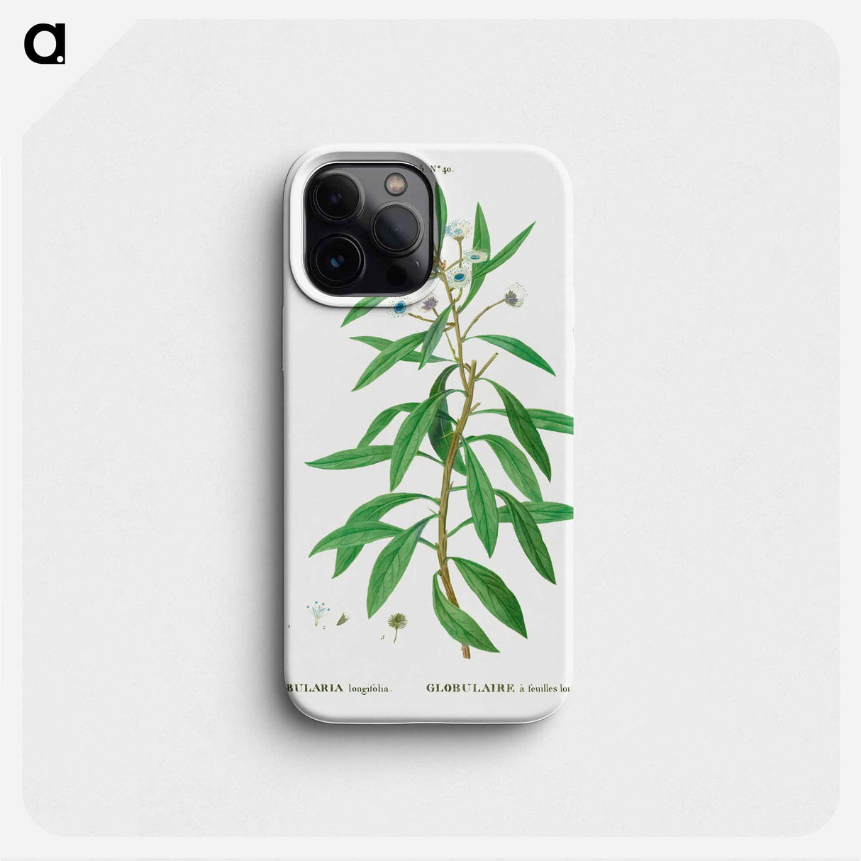 Globe daisy shrub - Pierre Joseph Redouté Phone Case.