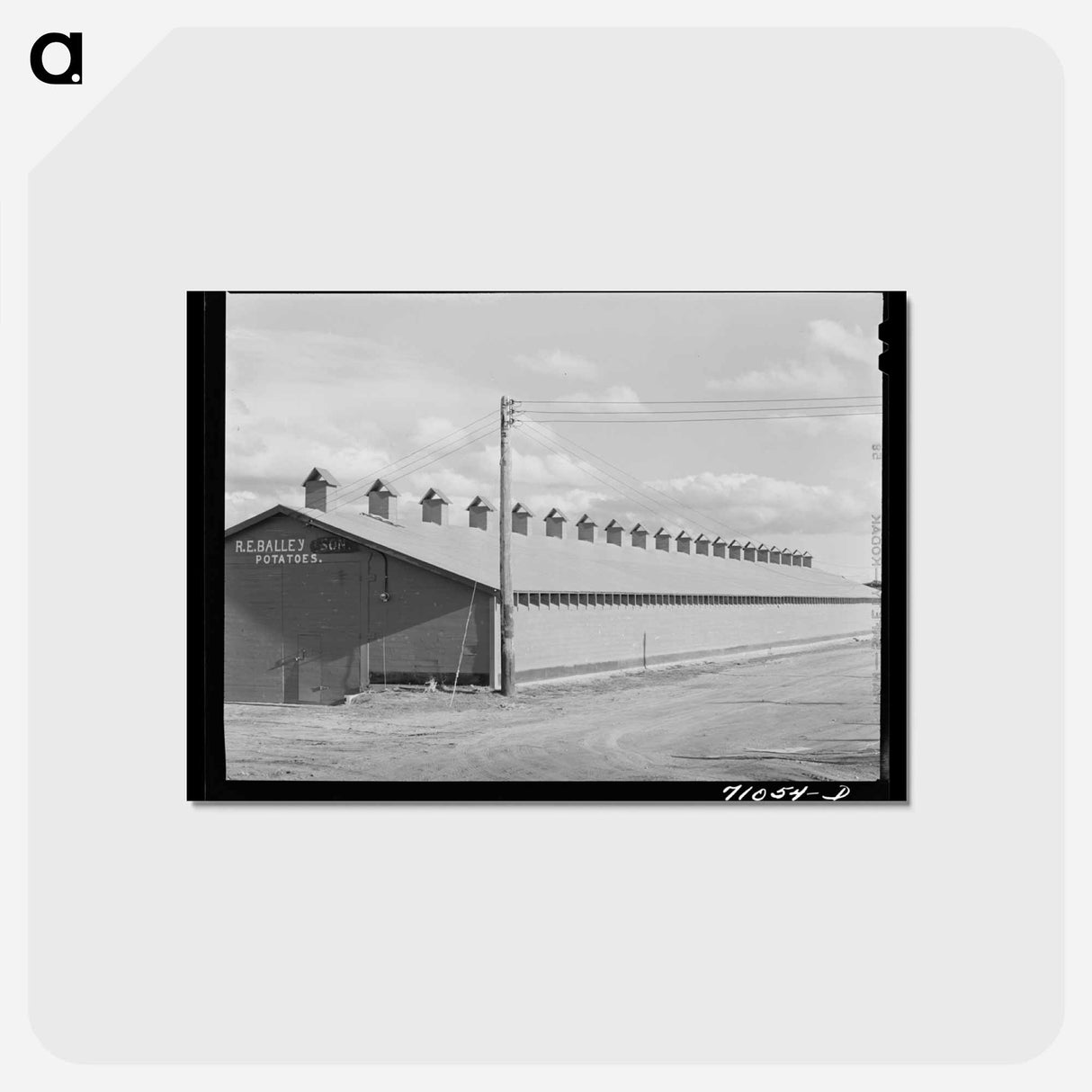 アートポストカード-Potato Cellar
- ラッセル リー Postcard.