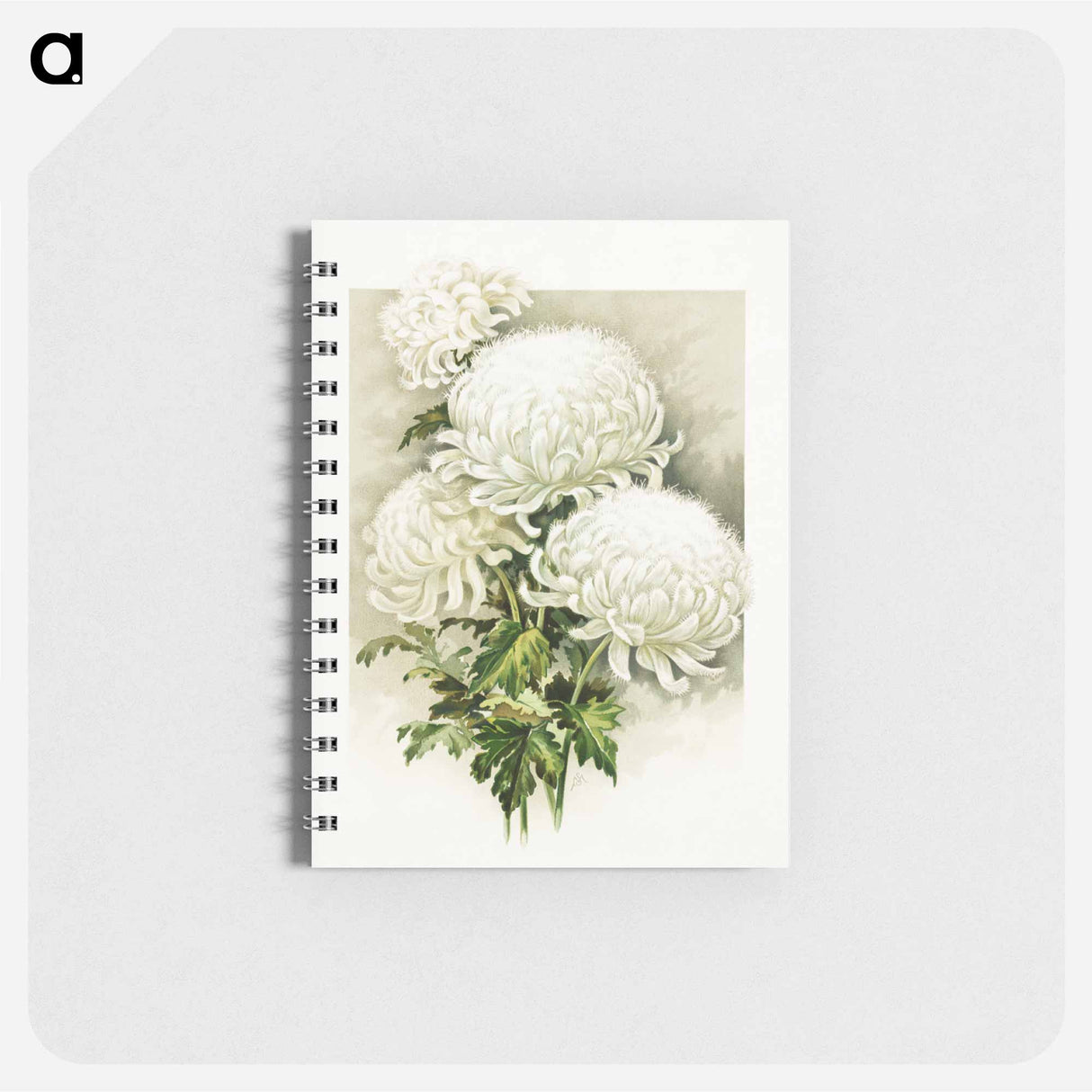 アートメモ帳-White Chrysanthemum, Mrs. Alpheus Hardy
- ボストン公共図書館 Memo.