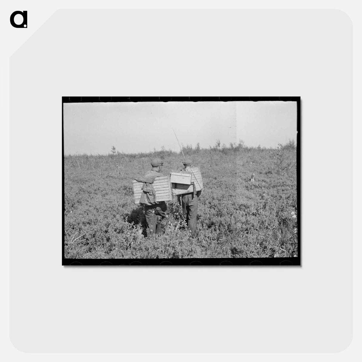 アートポストカード-Blueberry Pickers
- ラッセル リー Postcard.