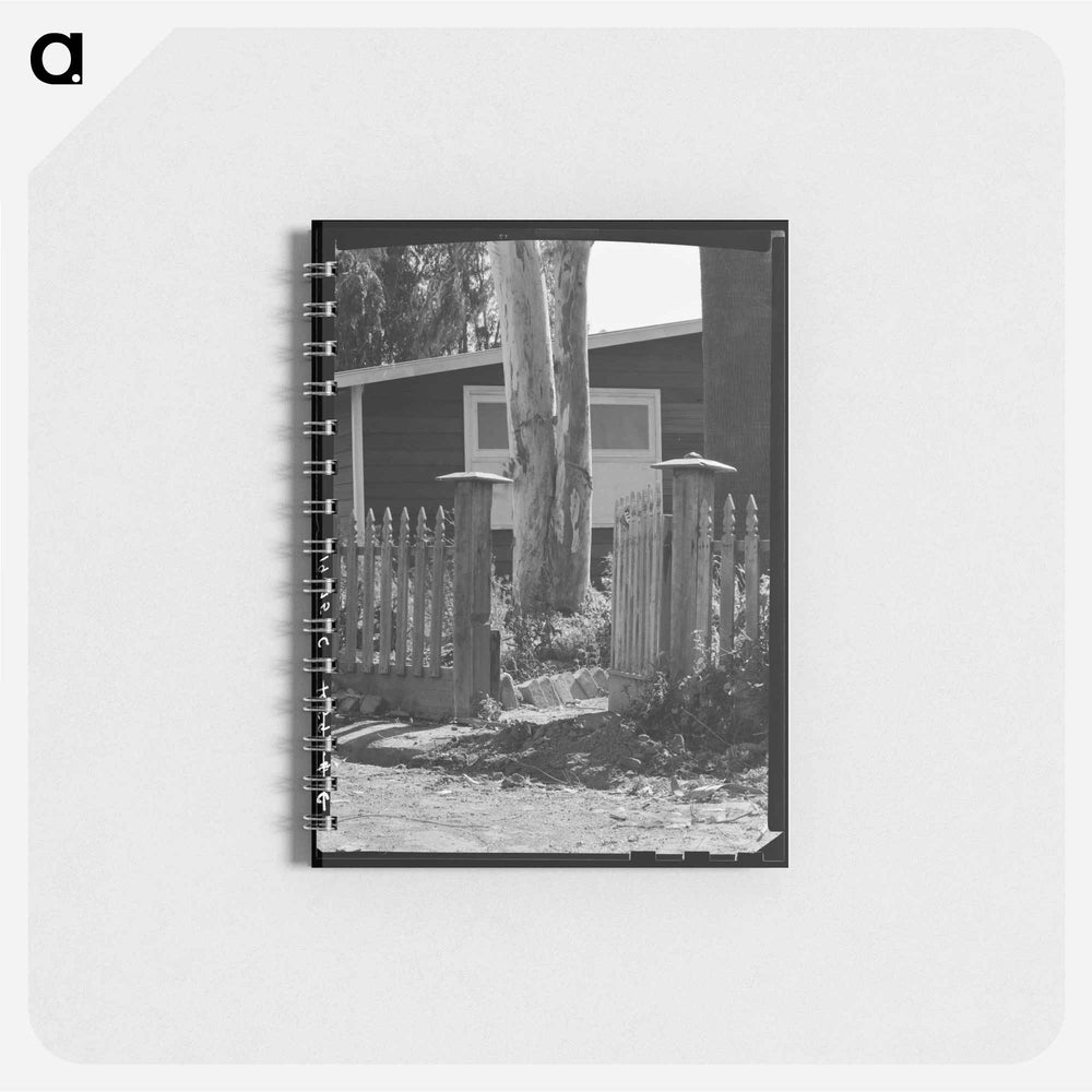 Untitled photo - ドロテア ラング Memo.