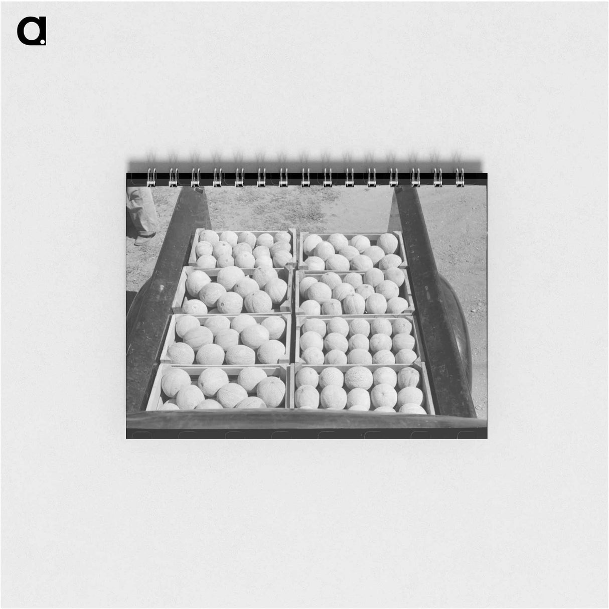 アートメモ帳-Cantaloupes of Box Elder County
- ラッセル リー Memo.