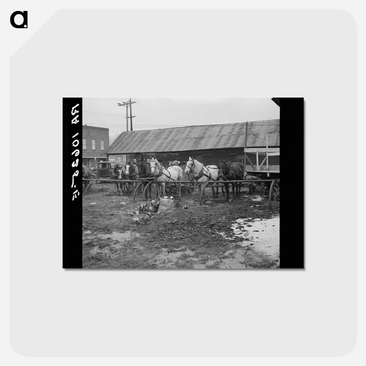 アートポストカード-Horses at Joy, Illinois
- ラッセル リー Postcard.