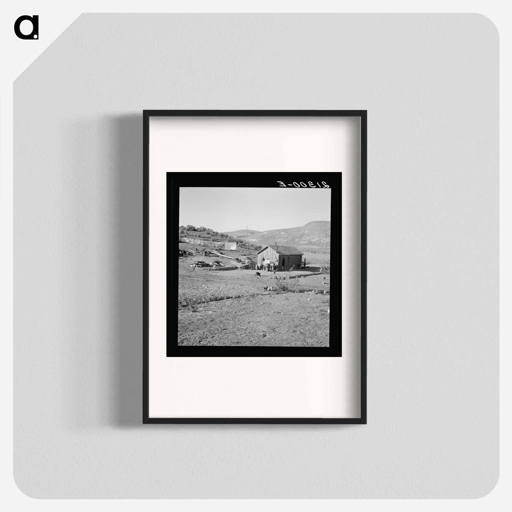 Untitled photo - ドロテア ラング Poster.