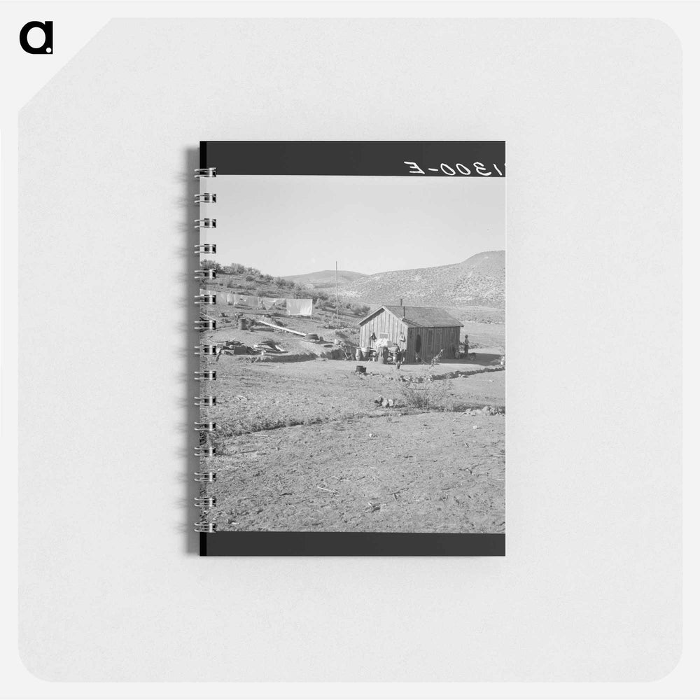 Untitled photo - ドロテア ラング Memo.