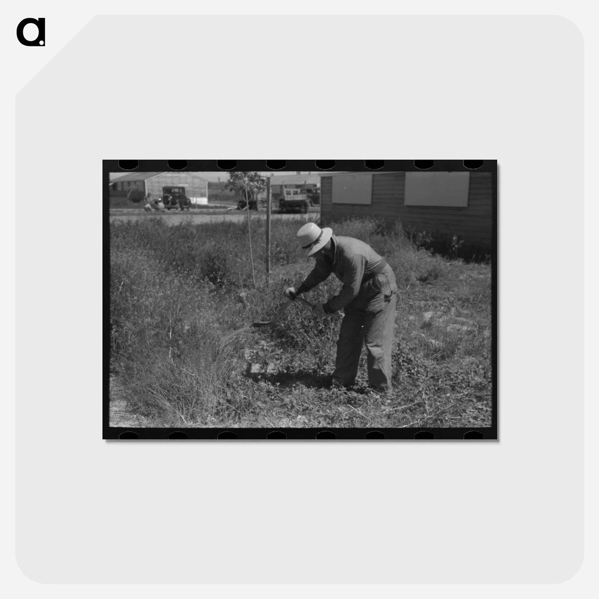 アートポストカード-FSA Labor Camp Weeding
- ラッセル リー Postcard.