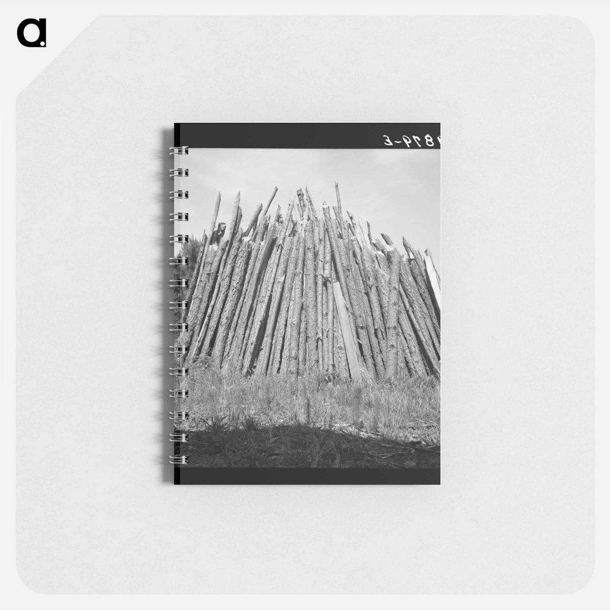 Untitled photo - ドロテア ラング Memo.