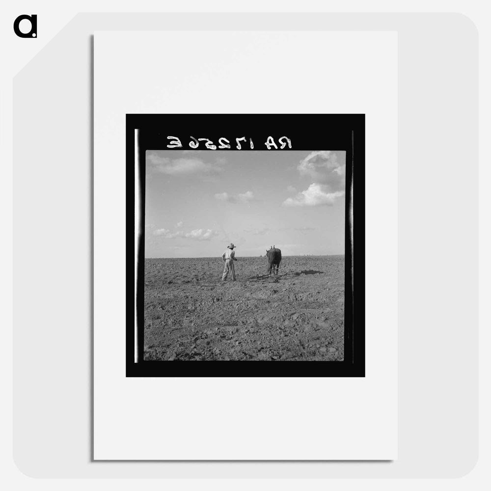 Harrowing. West Texas - ドロテア ラング Poster.