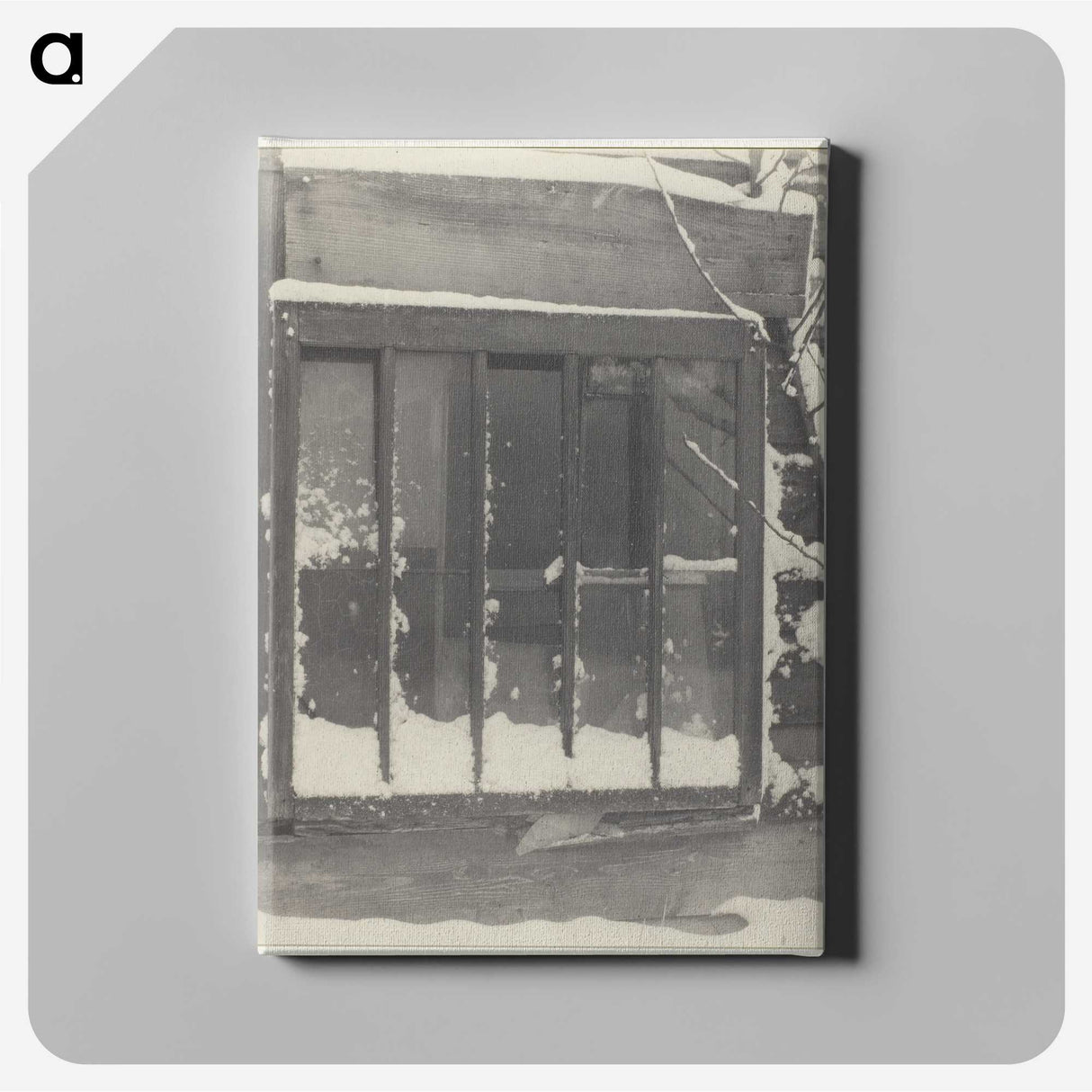2-100_Alfred-Stieglitz_canvas