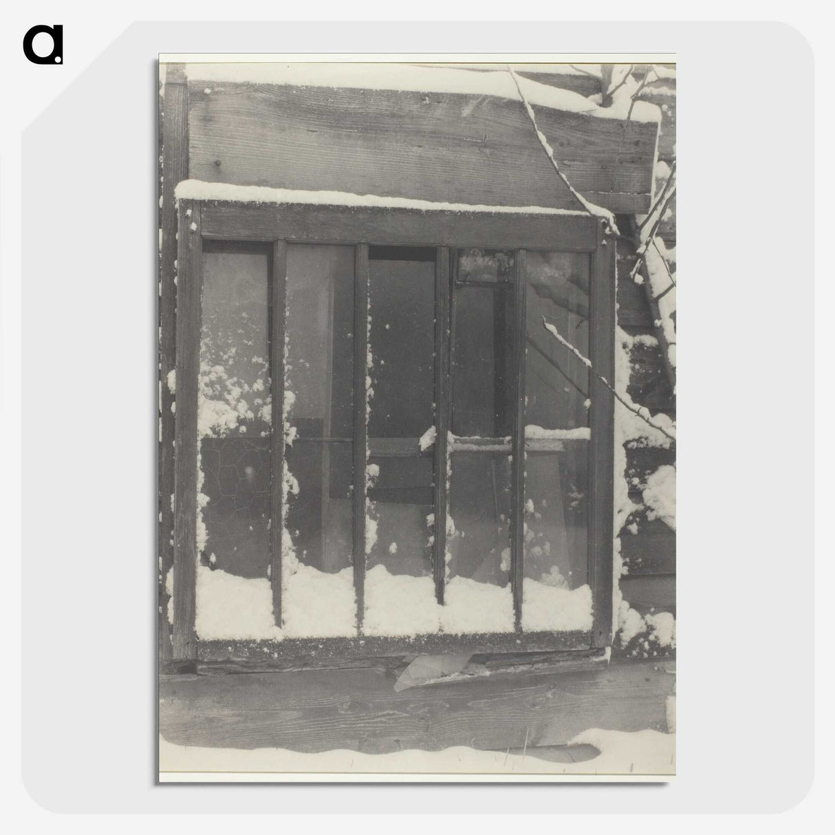 2-100_Alfred-Stieglitz_picture-crop