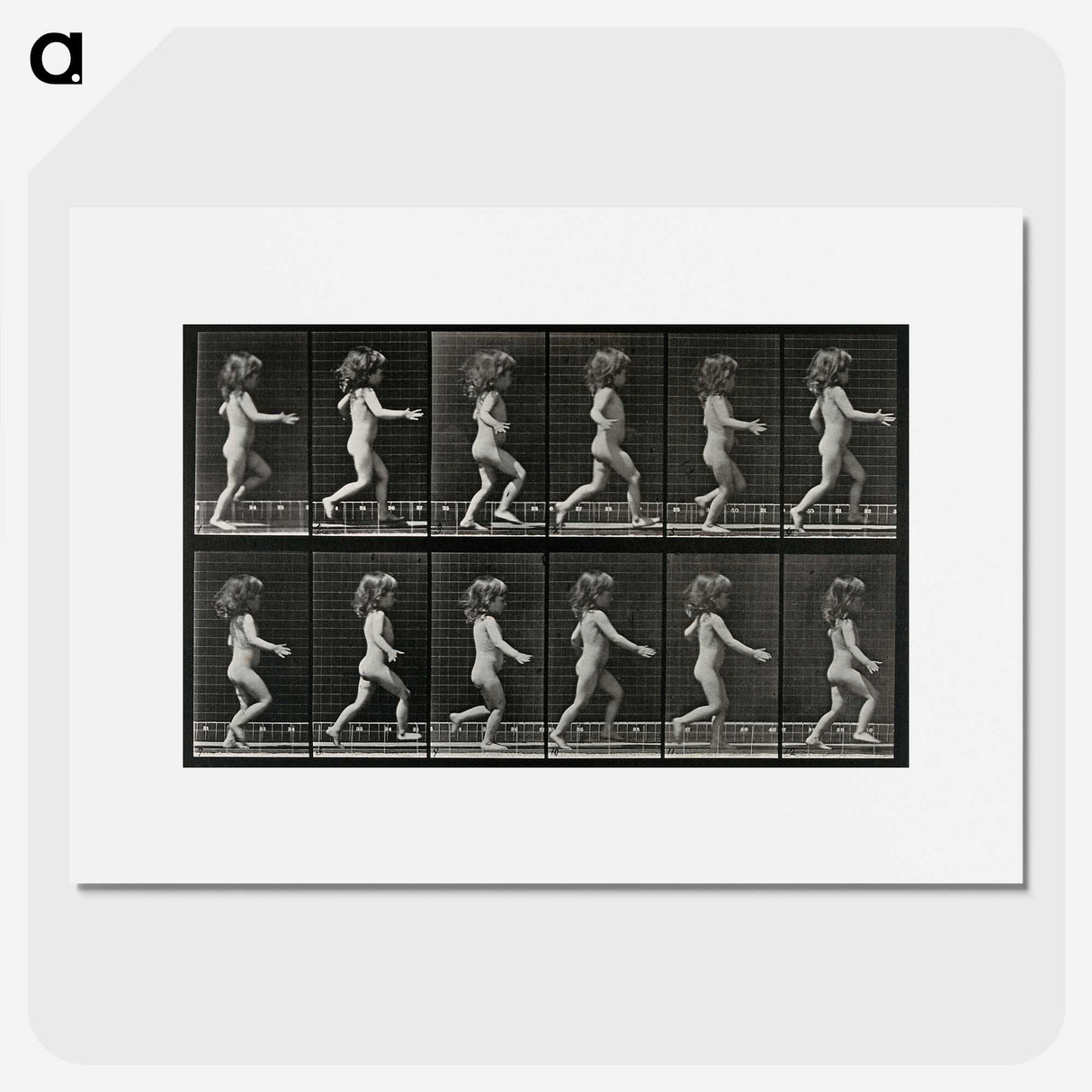 2-100_Eadweard-Muybridge_picture