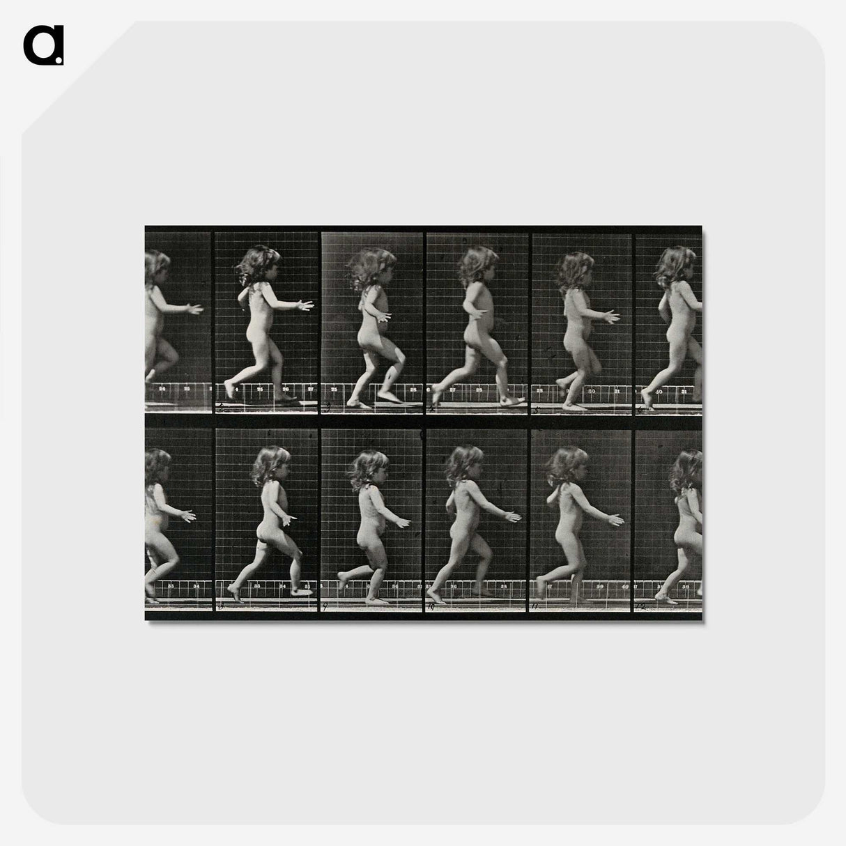2-100_Eadweard-Muybridge_postcard