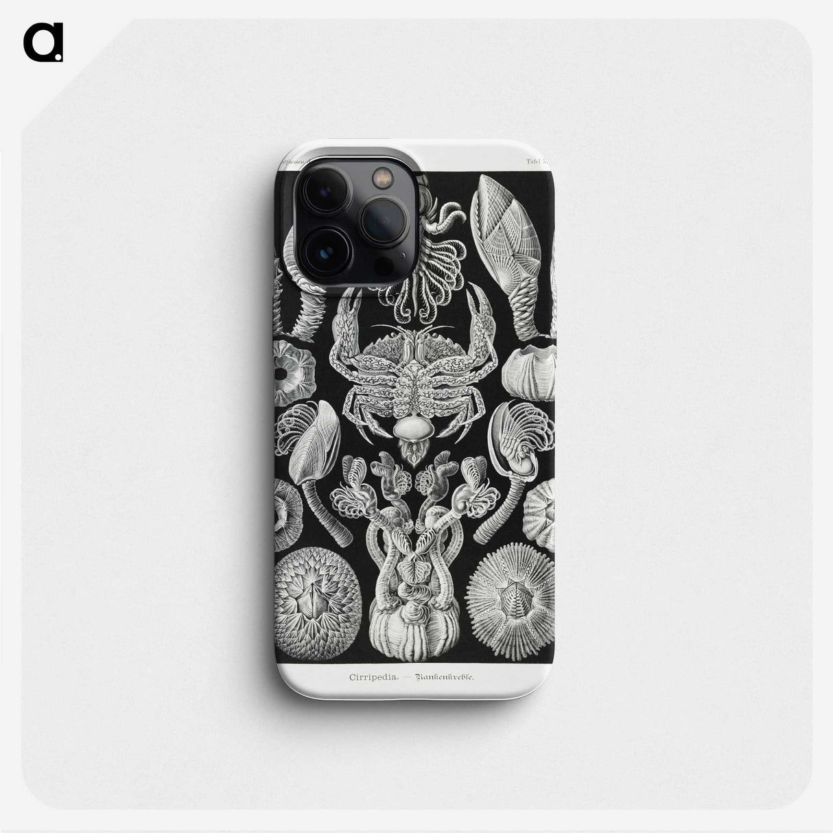 2-100_Ernst-Haeckel_phone