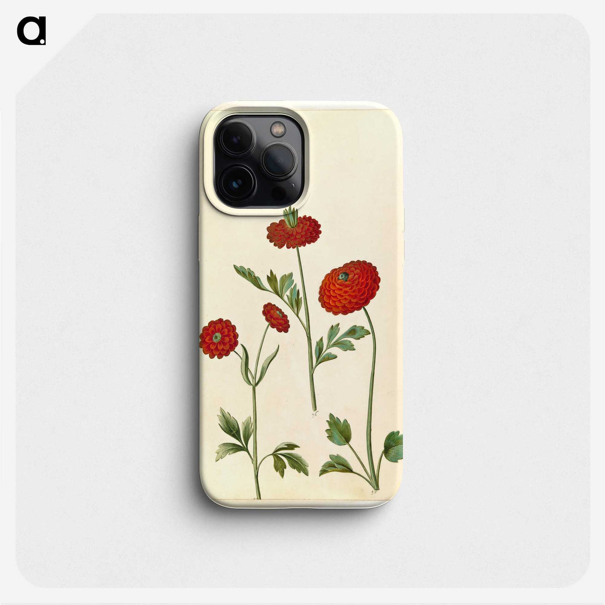 2-100_Maria-Sibylla-Merian_phone