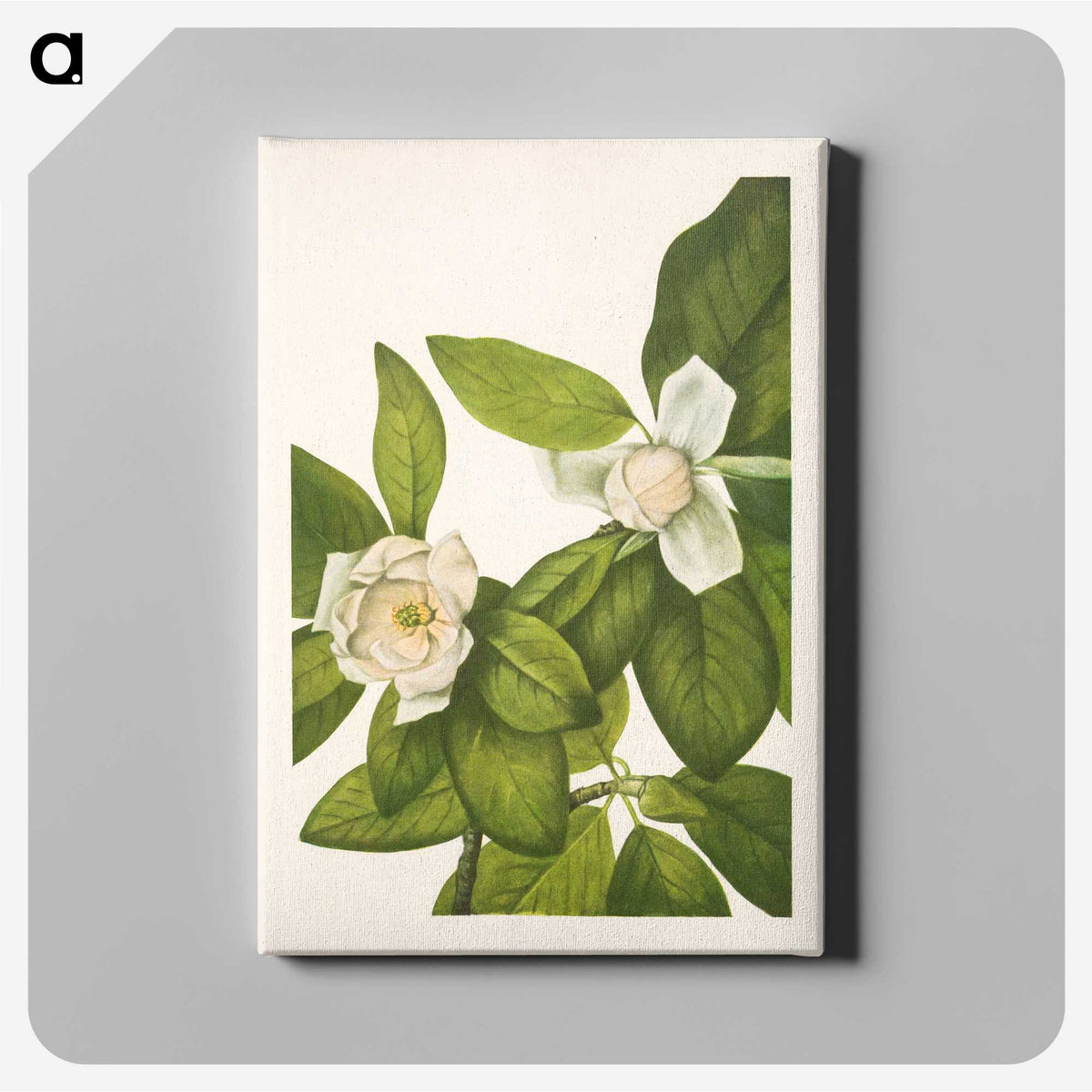 2-100_Mary-Vaux-Walcott_canvas