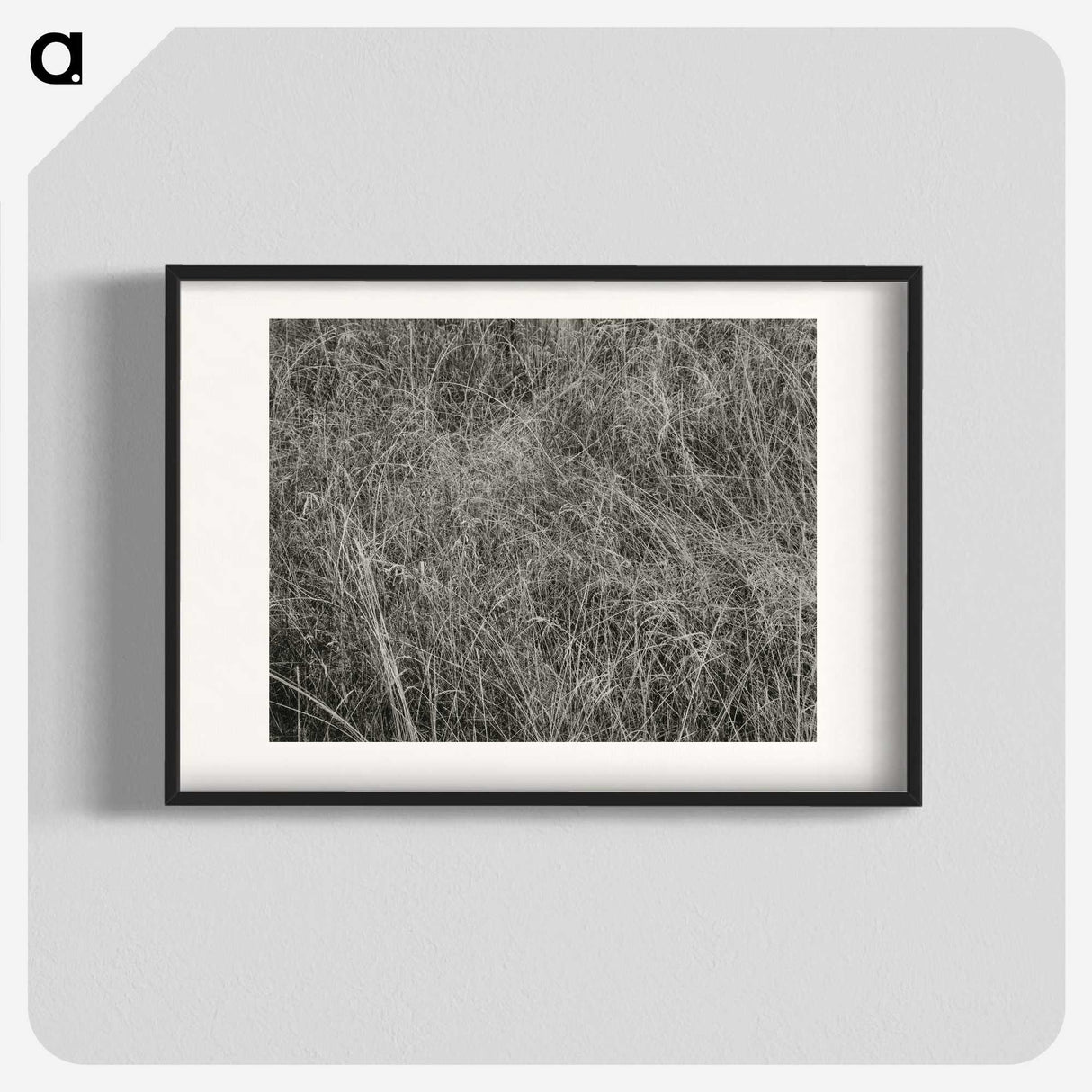 2-10_Alfred-Stieglitz_blk