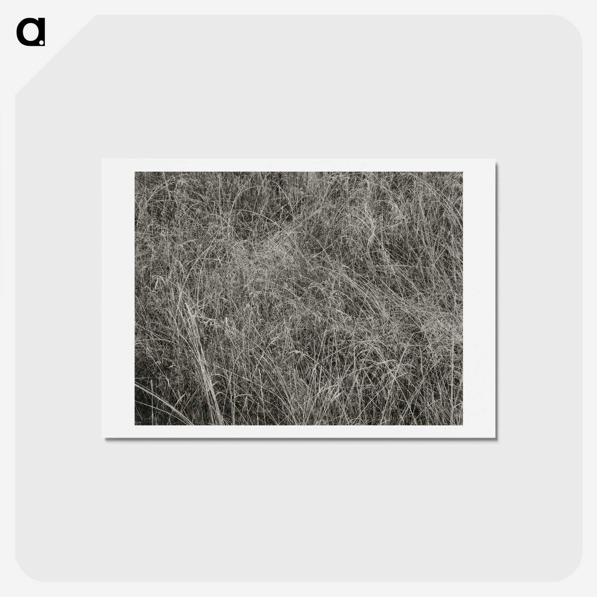 2-10_Alfred-Stieglitz_hagaki