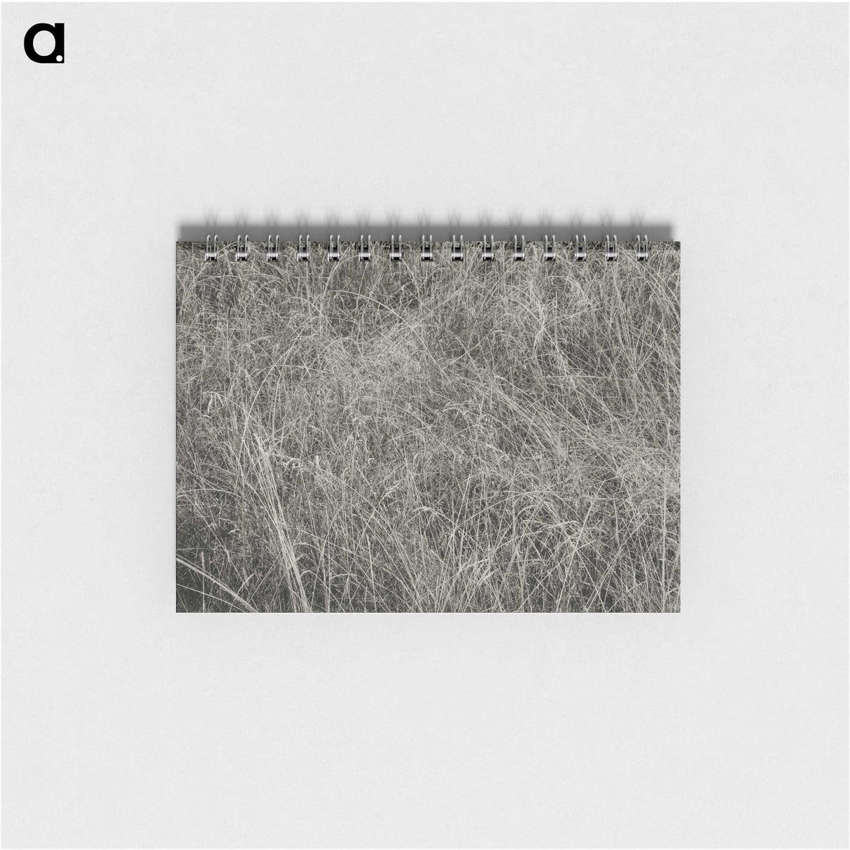 2-10_Alfred-Stieglitz_memo