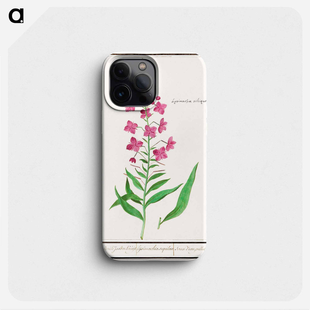 Willow-herb, Chamerion angustifolium - アンセルムス ボエティウス デ ブート Phone Case.