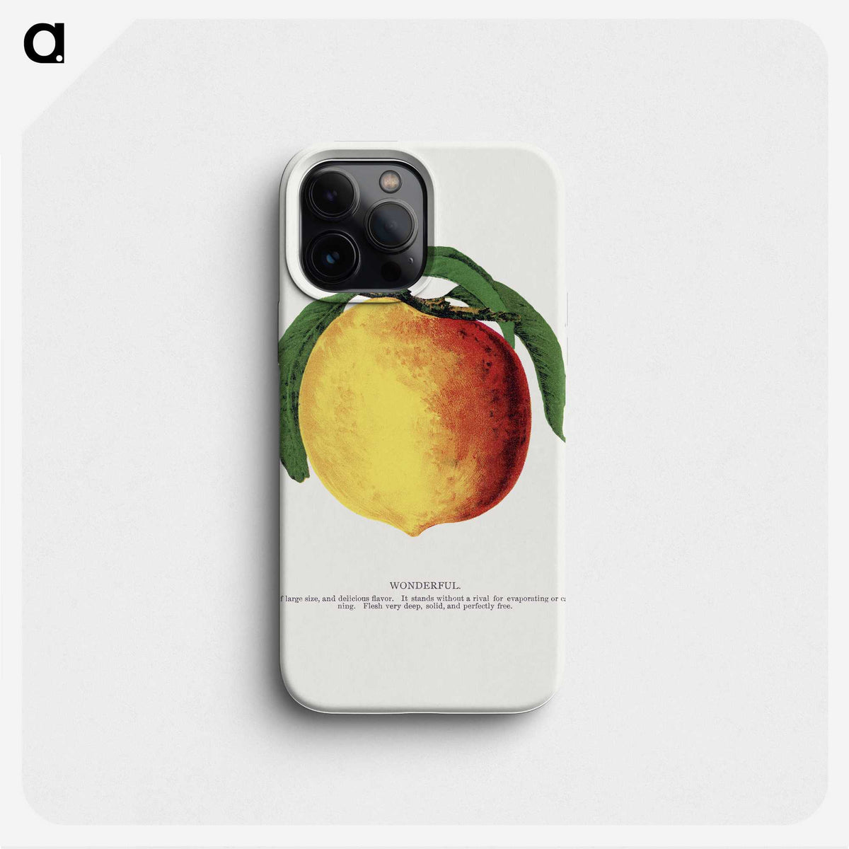2-10_Botanical-Specimen-Plates_phone