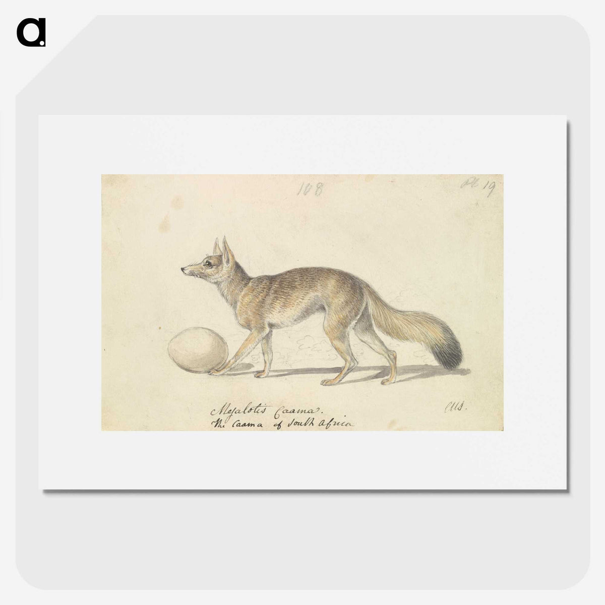 2-10_Charles-Hamilton-Smith_picture