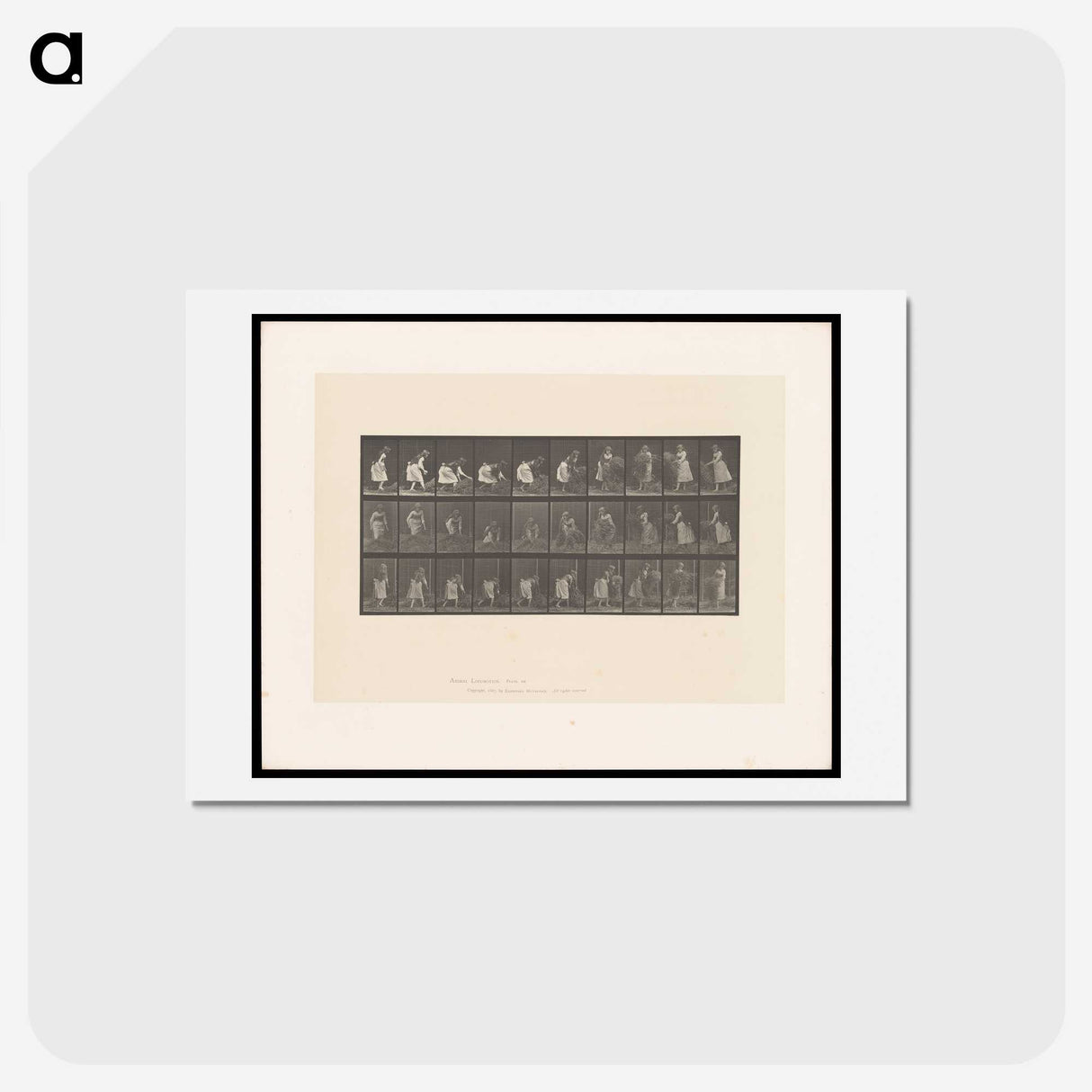 2-10_Eadweard-Muybridge_hagaki