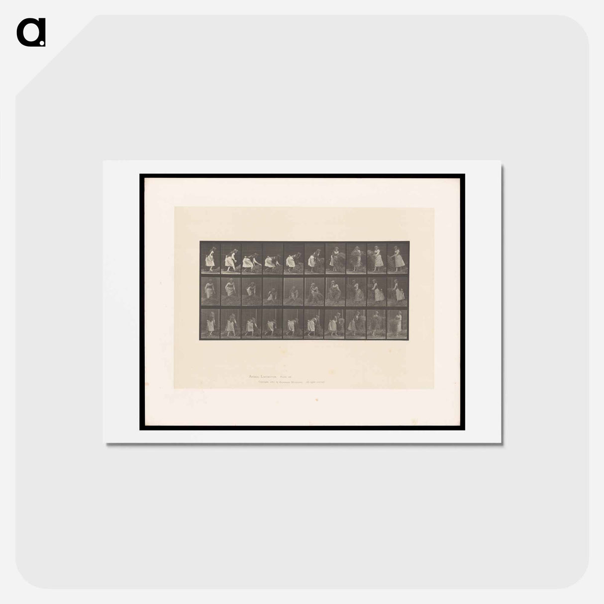 アートポストカード-Hay Gatherer
- エドワード マイブリッジ Postcard.