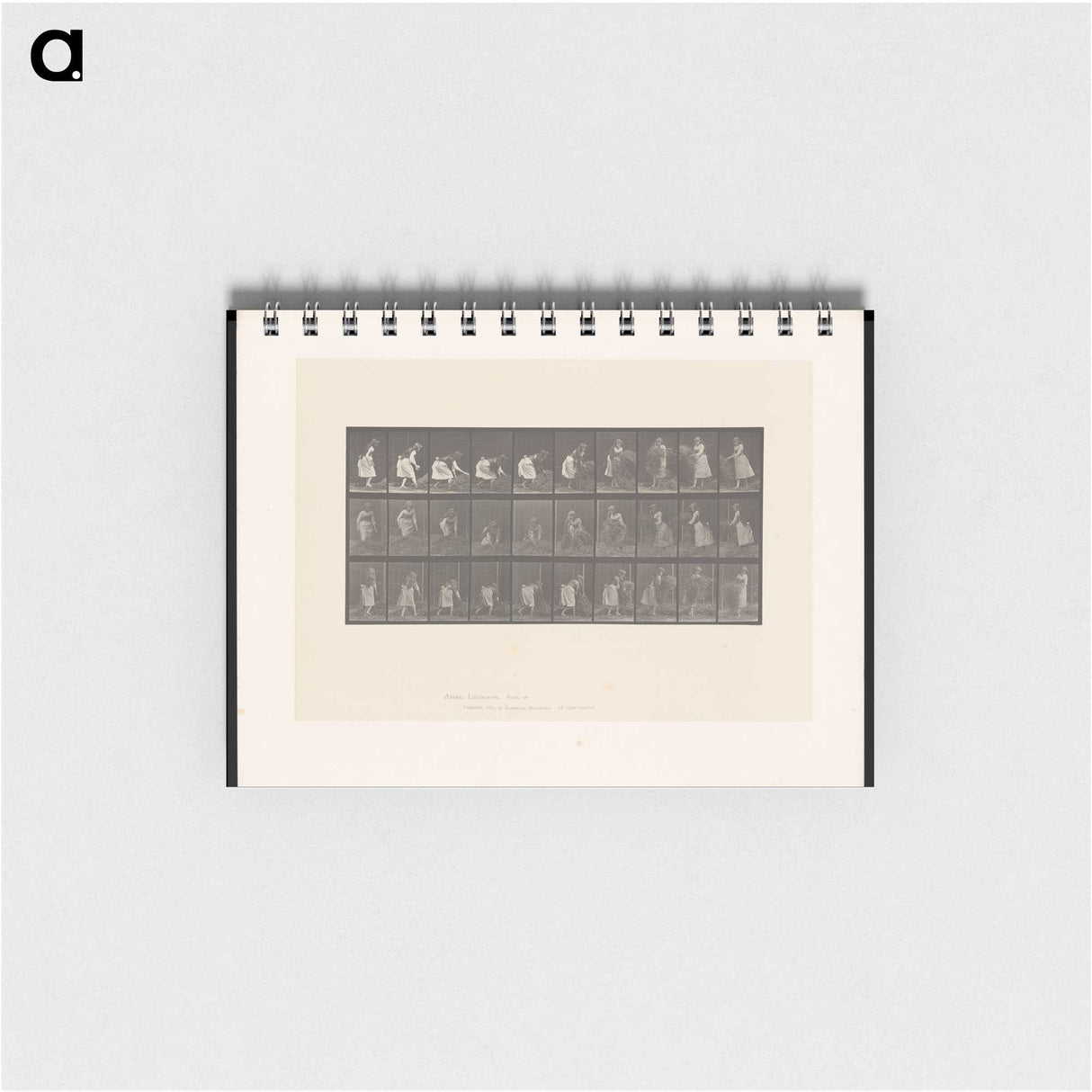 2-10_Eadweard-Muybridge_memo