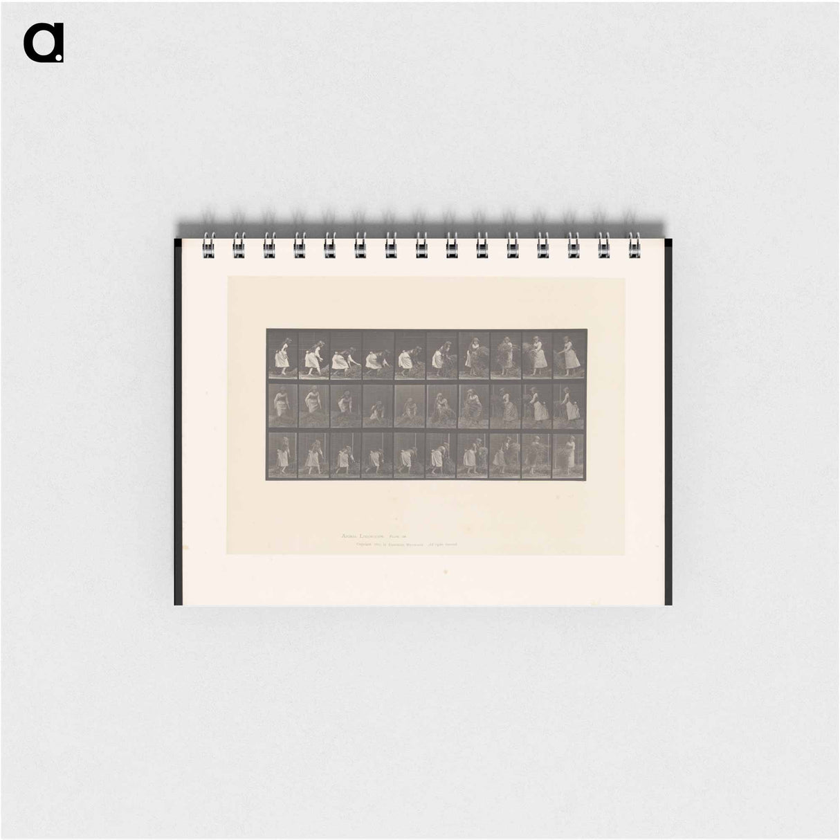 アートメモ帳-Hay Gatherer
- エドワード マイブリッジ Memo.