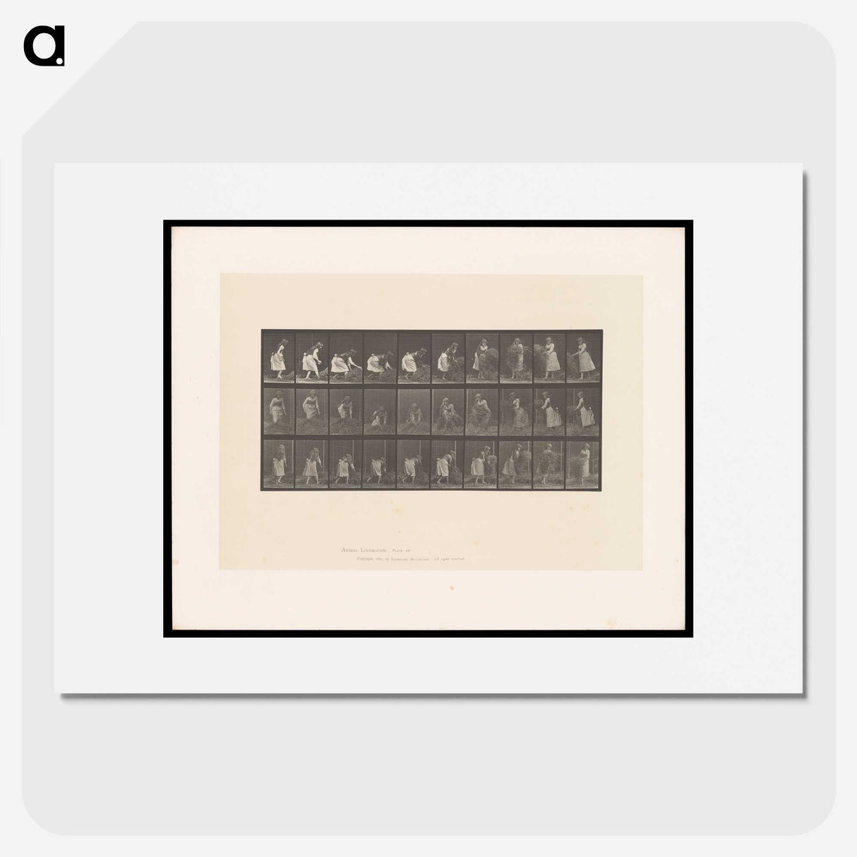 2-10_Eadweard-Muybridge_picture