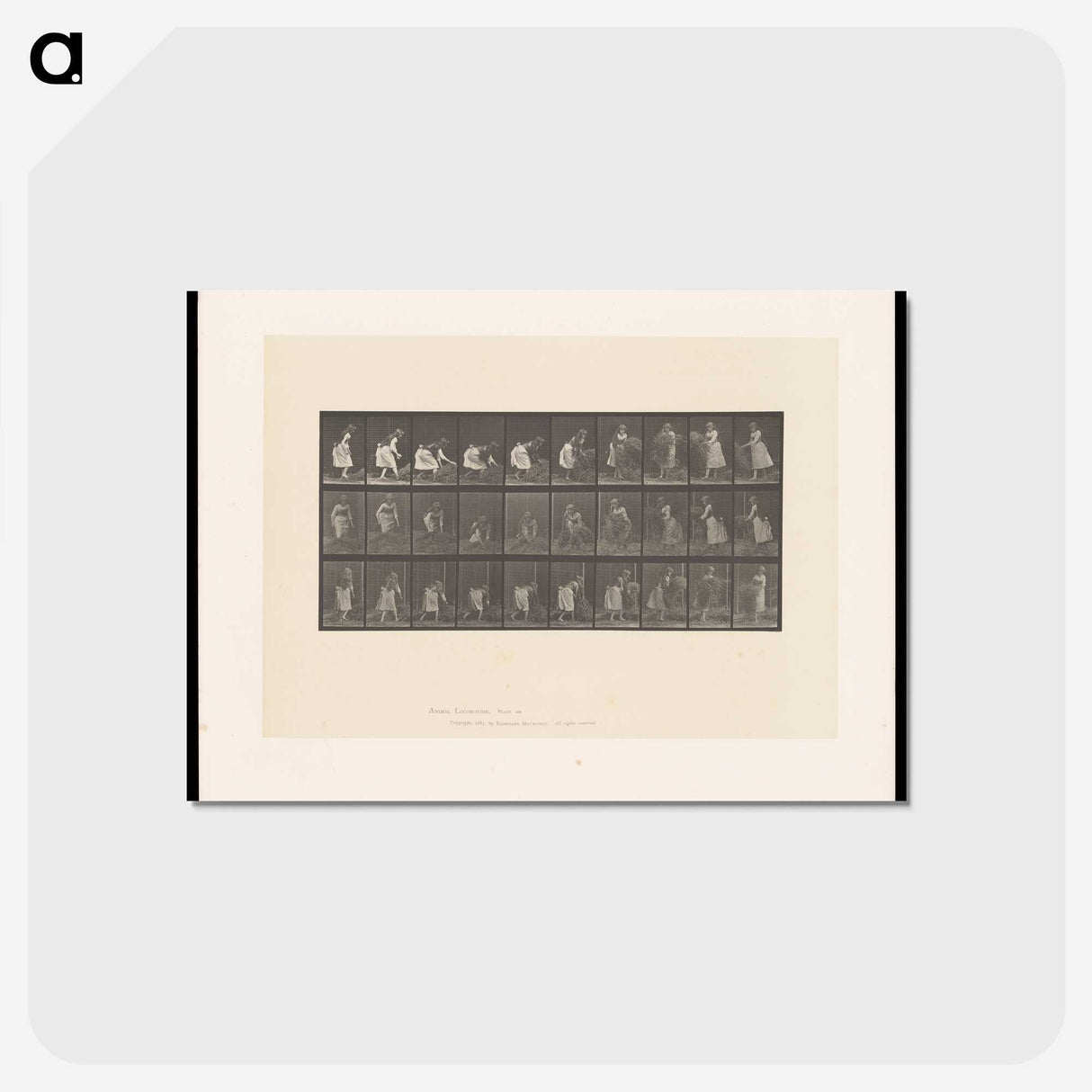 2-10_Eadweard-Muybridge_postcard