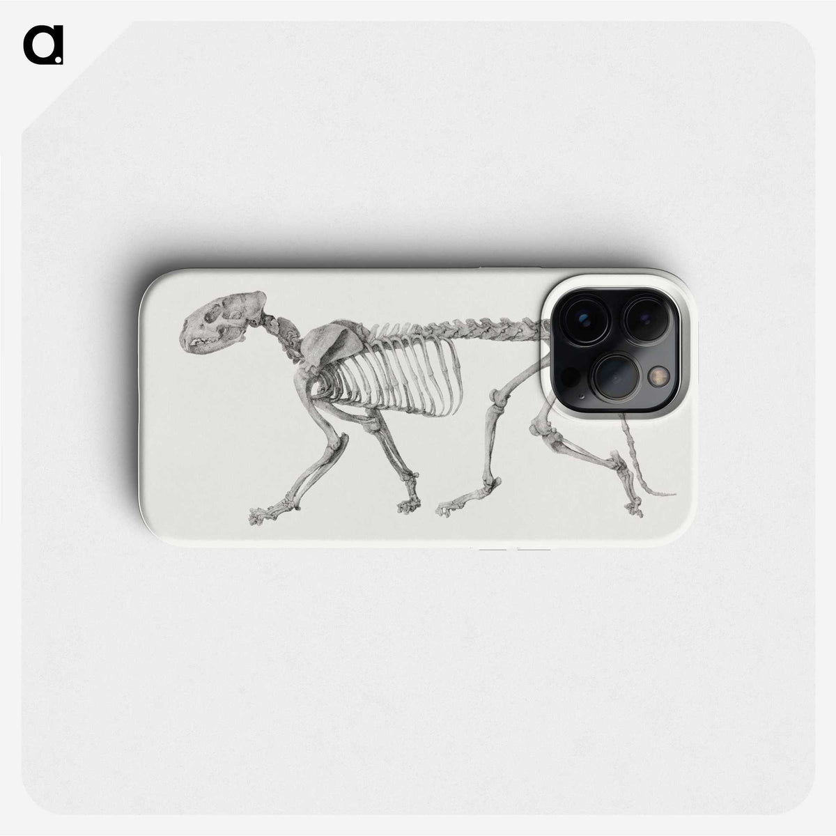 2-10_George-Stubbs_phone